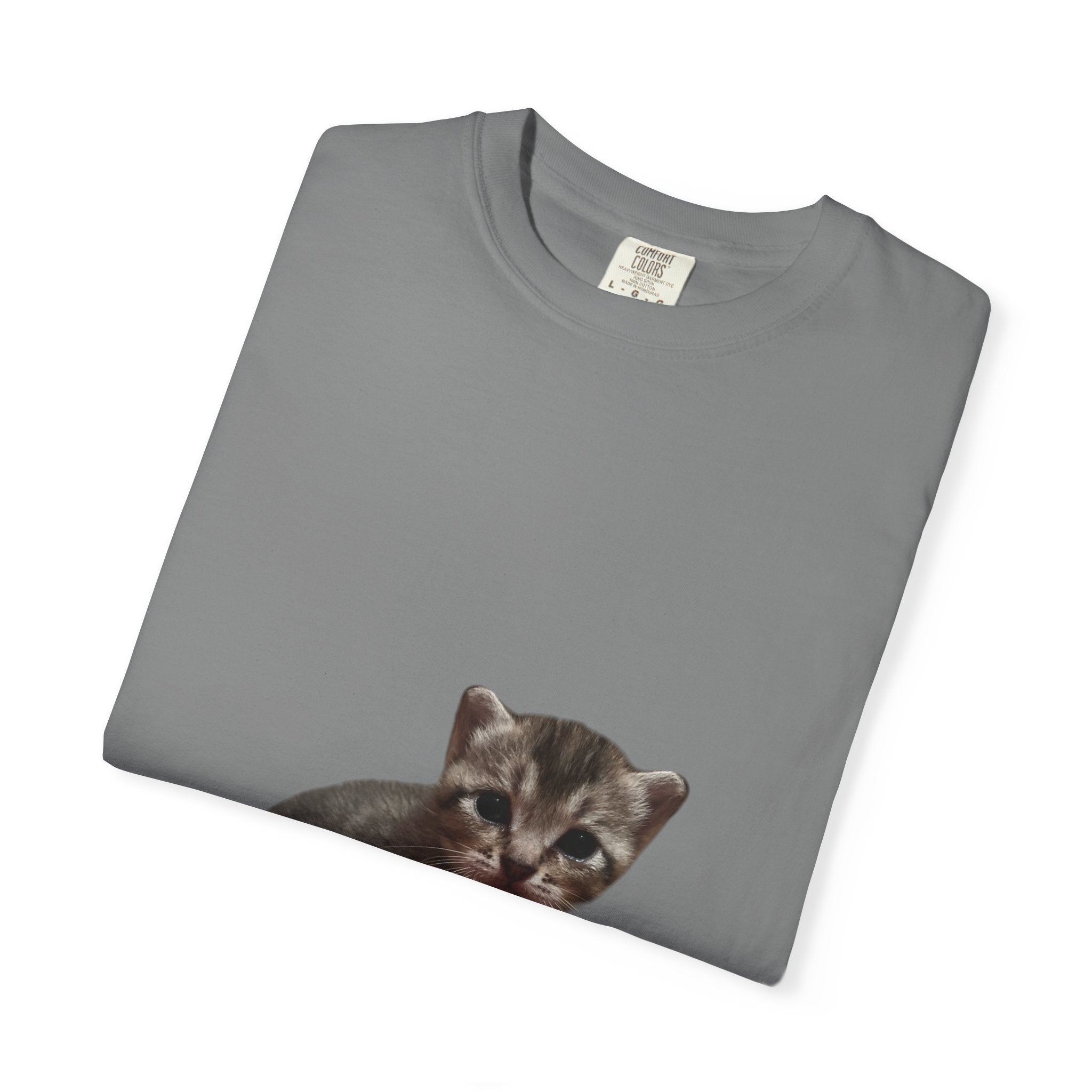 Folded gray t-shirt with a raccoon graphic on a white background