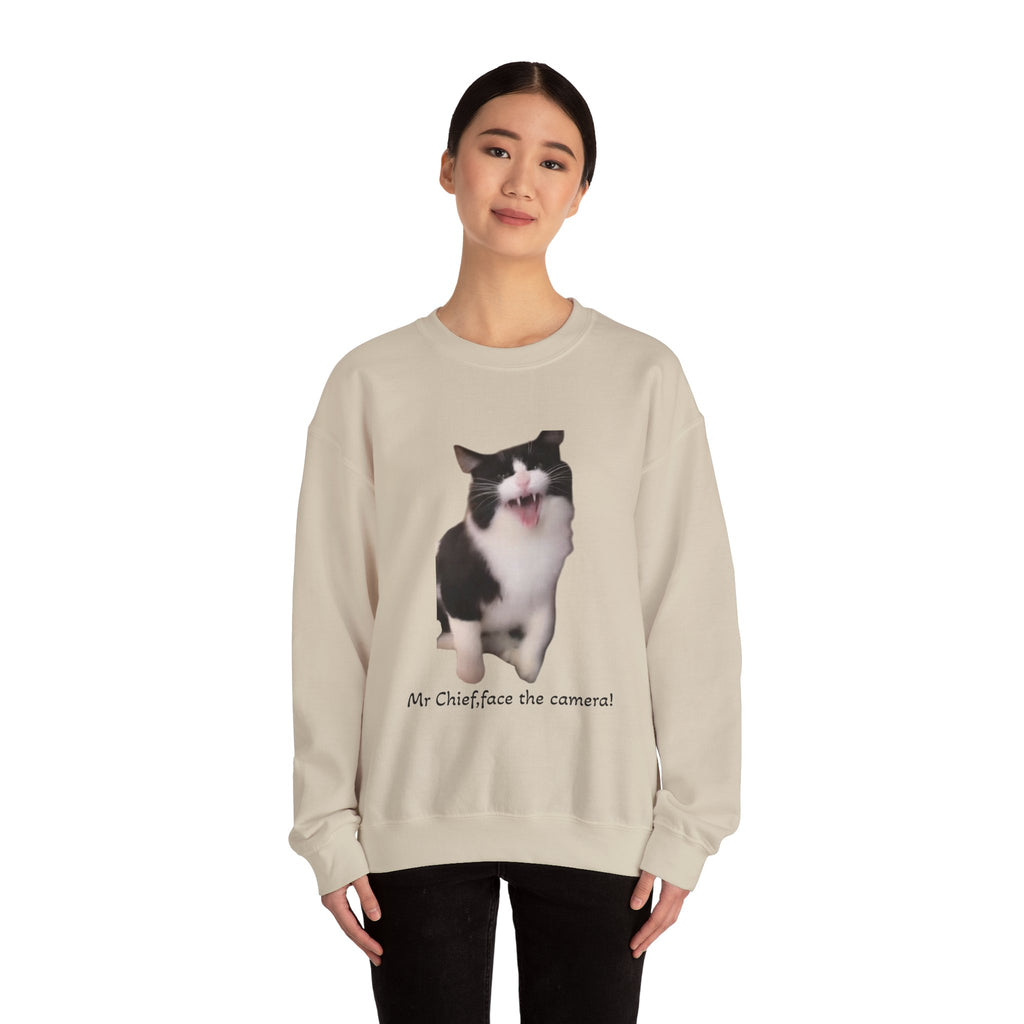 Person wearing a beige sweatshirt with a cat graphic and text on a white background