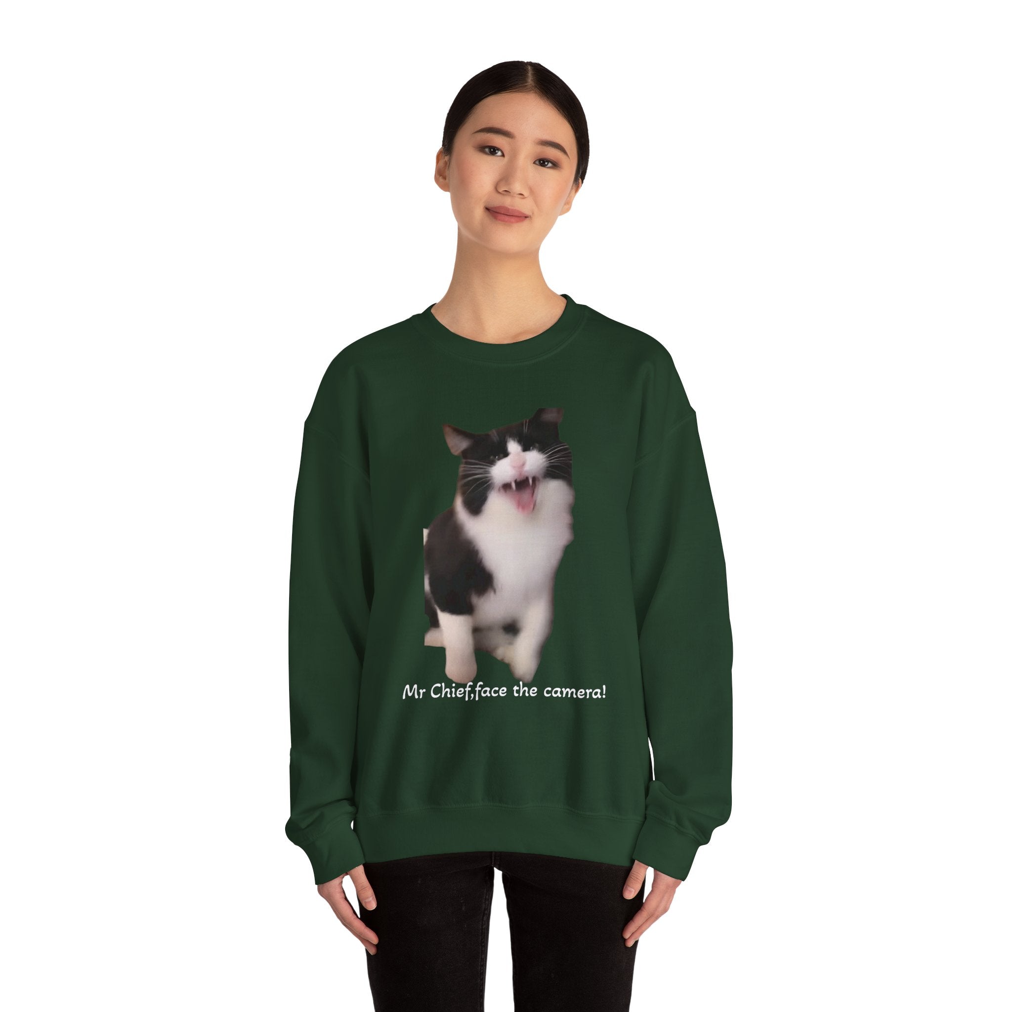 Person wearing a green sweatshirt with a cat graphic and text on a white background