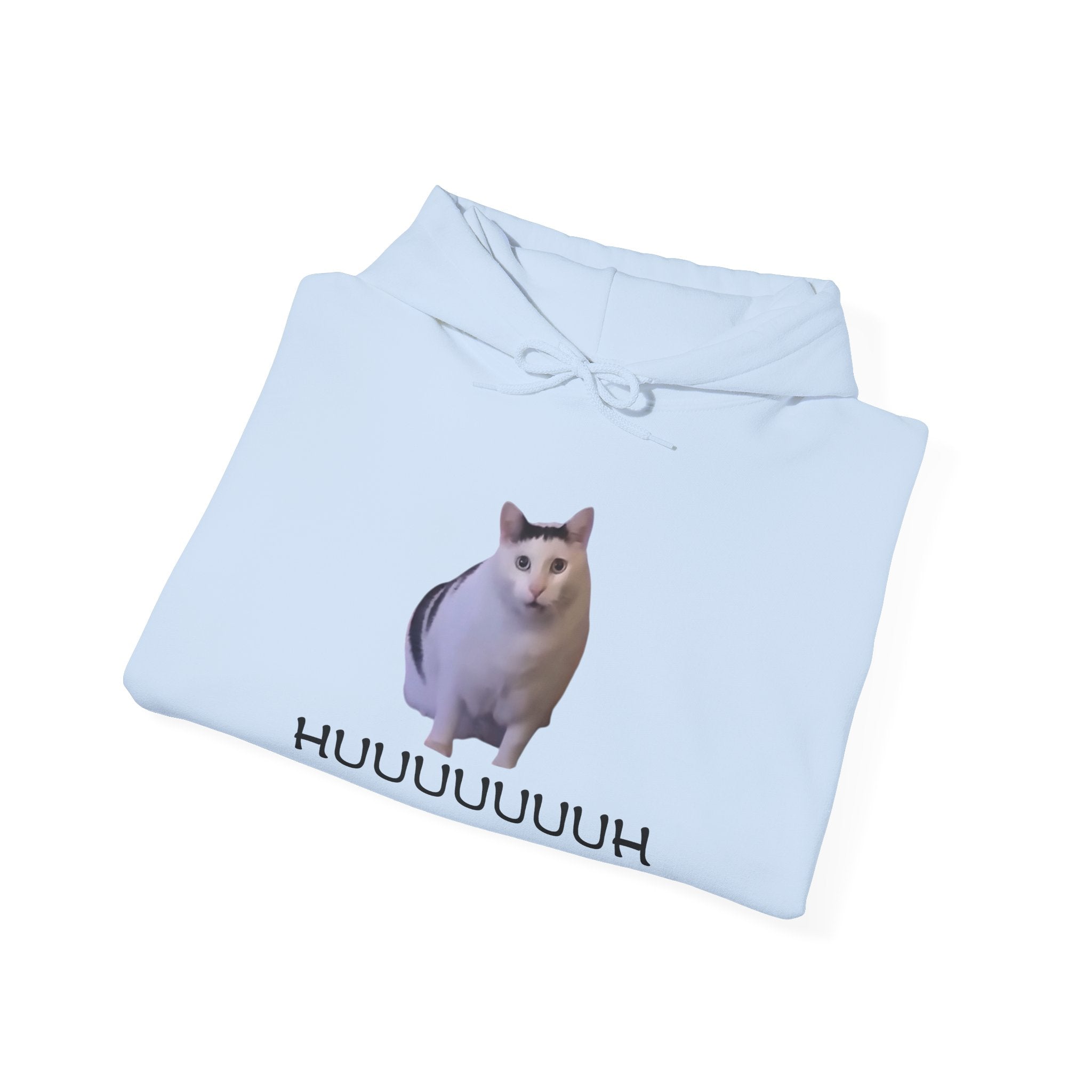 Light blue hoodie with a cat graphic and text on a white background