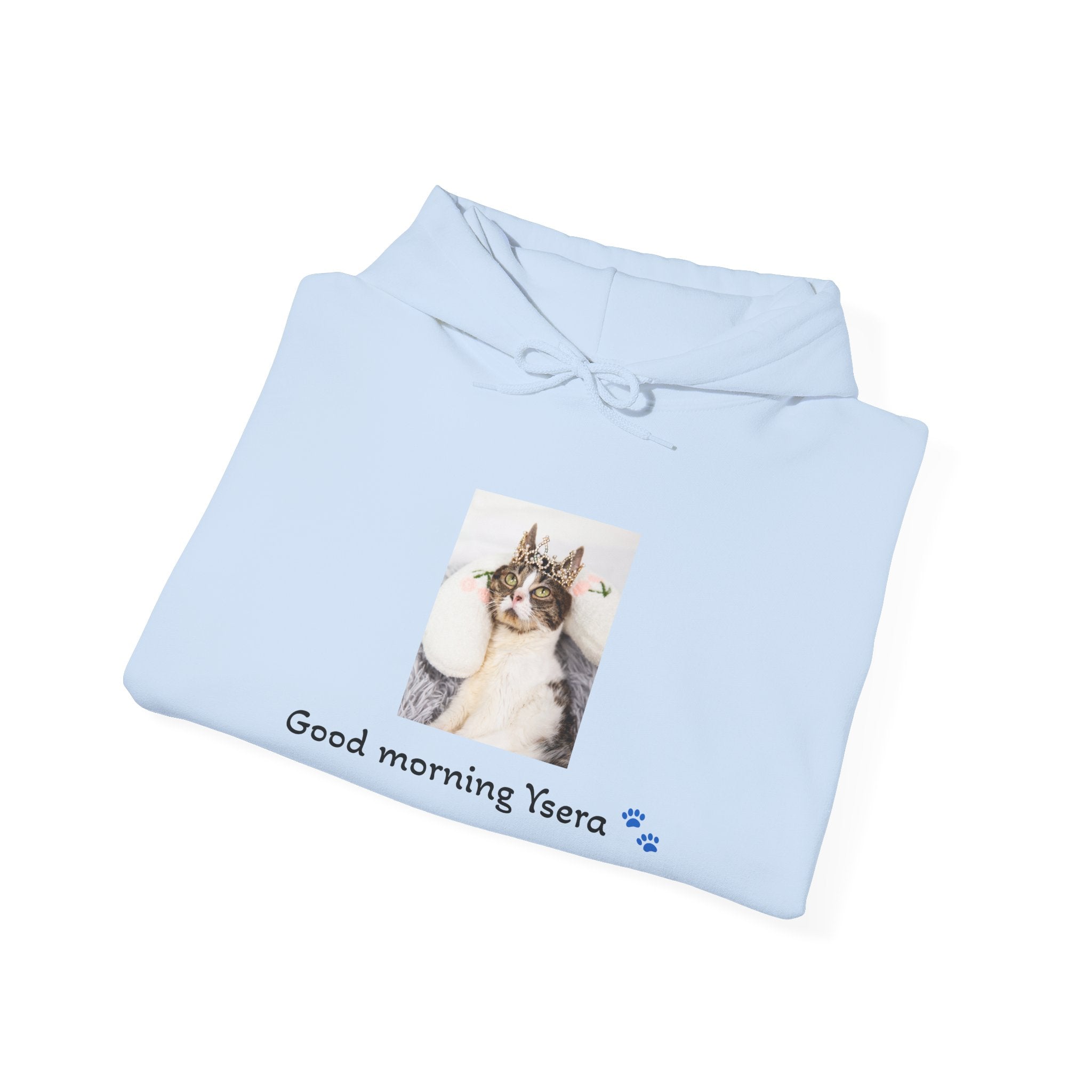 Light blue hoodie with a cat graphic and text on a white background