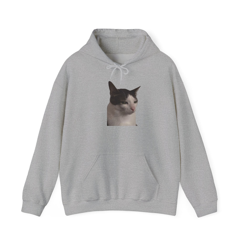 Gray hoodie with 'Appalachian Raised' logo on a white background