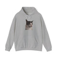 Gray hoodie with 'Appalachian Raised' logo on a white background