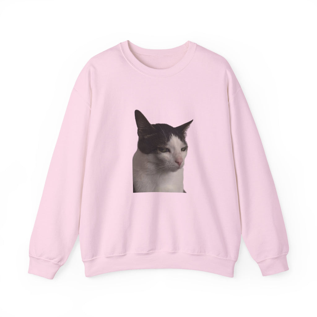 Pink sweatshirt with a cat graphic on a white background