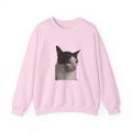 Pink sweatshirt with a cat graphic on a white background