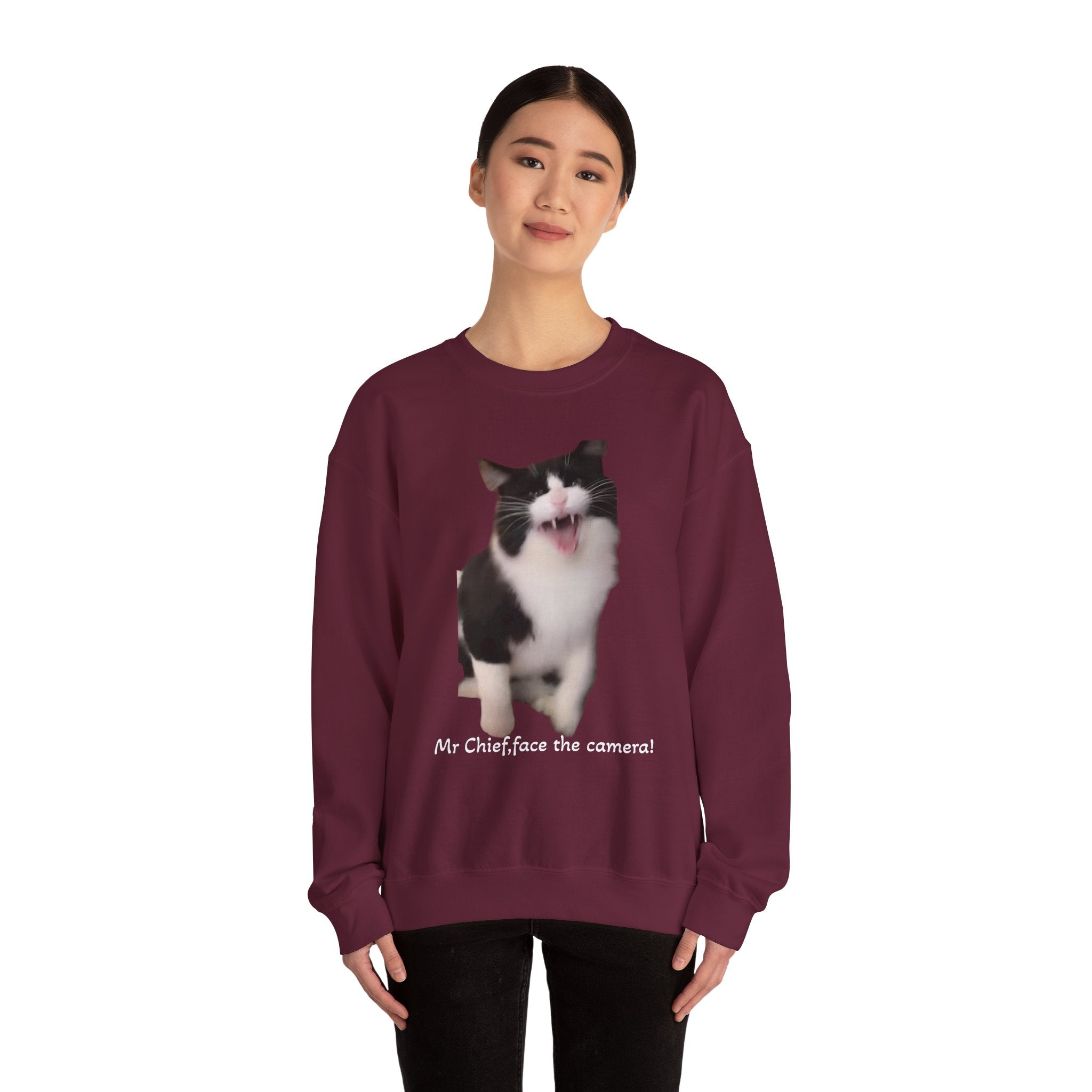 Person wearing a maroon sweatshirt with a cat graphic and text on a white background