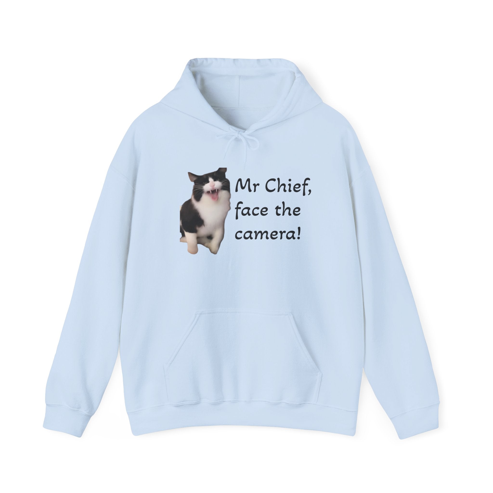 Light blue hoodie with a dog graphic and text on a white background