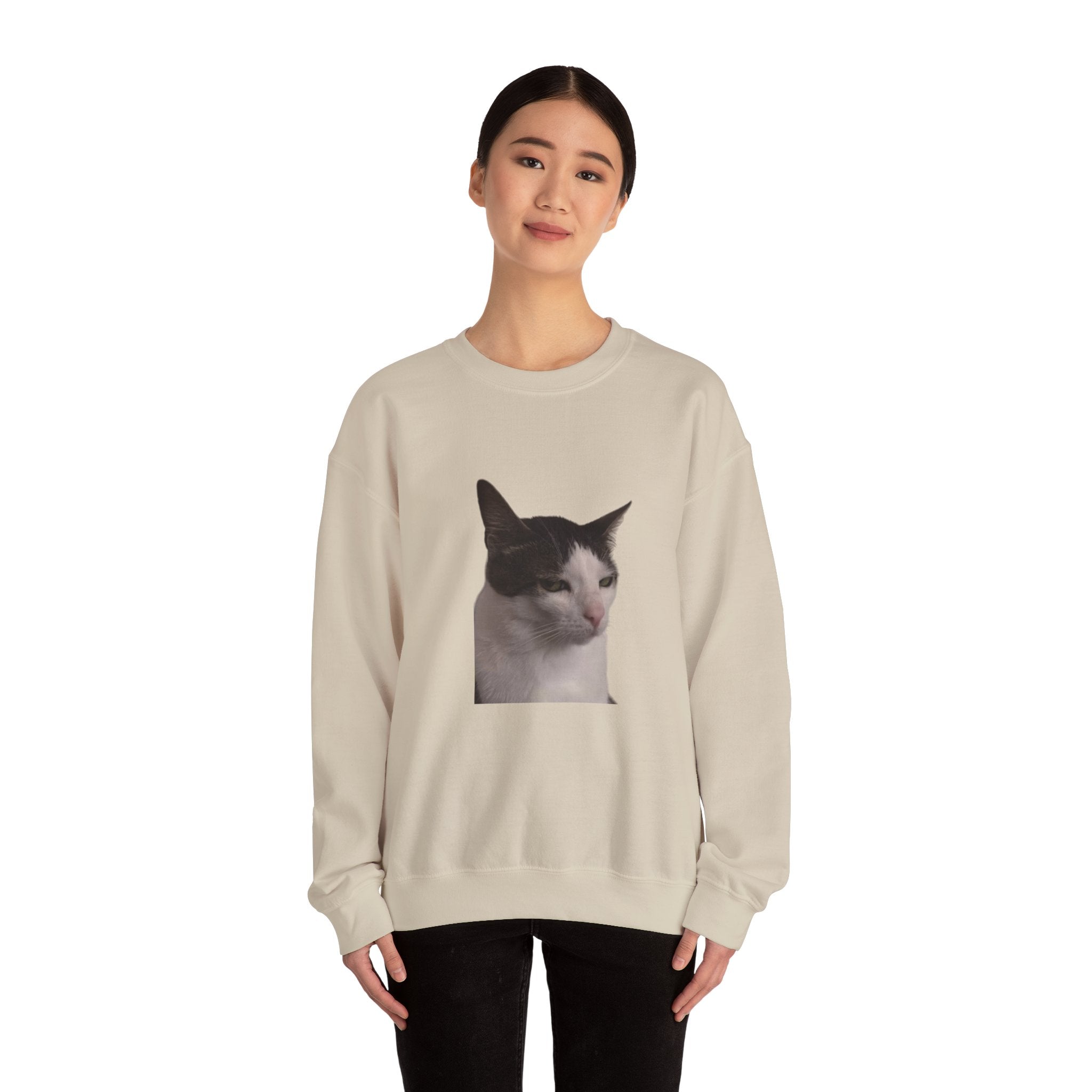 Person wearing a beige sweatshirt with a cat graphic on a white background