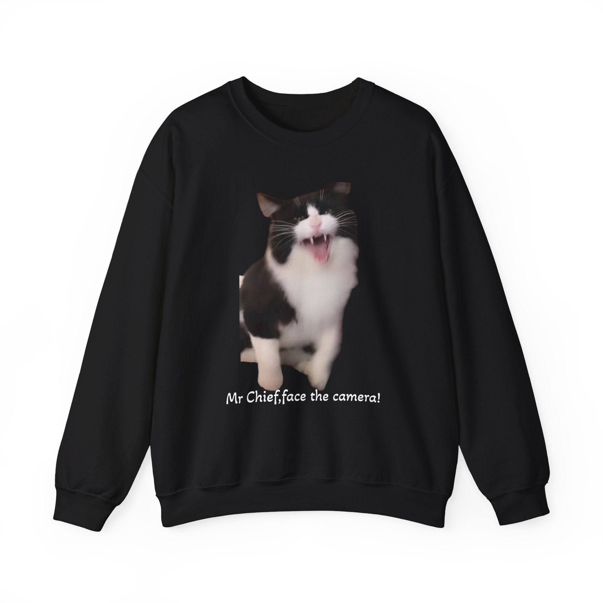 Black sweatshirt with a cat graphic and text on a white background