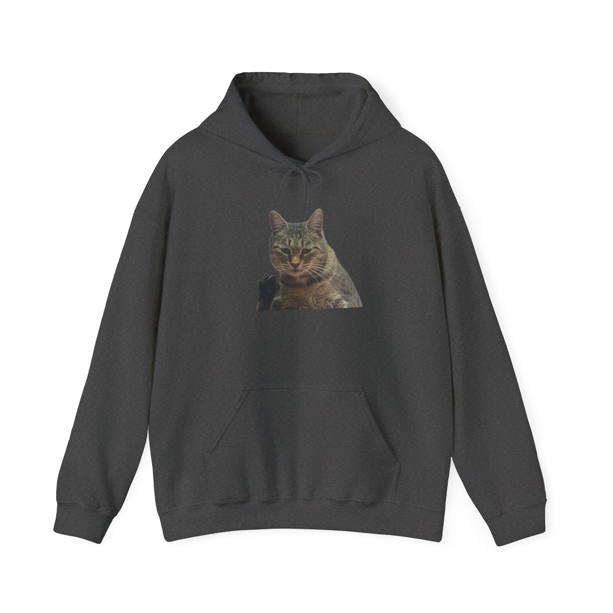 Gray hoodie with a graphic design on a white background