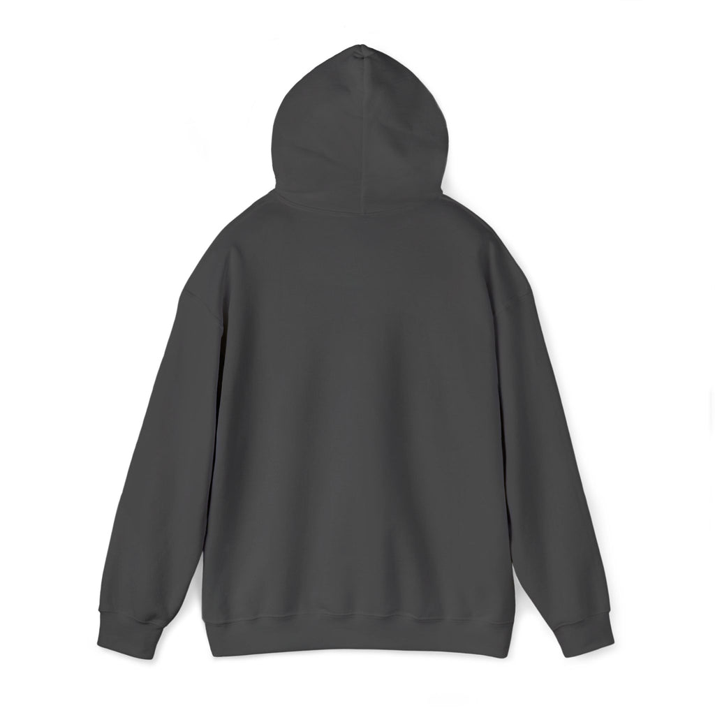 Dark gray hoodie on a white background