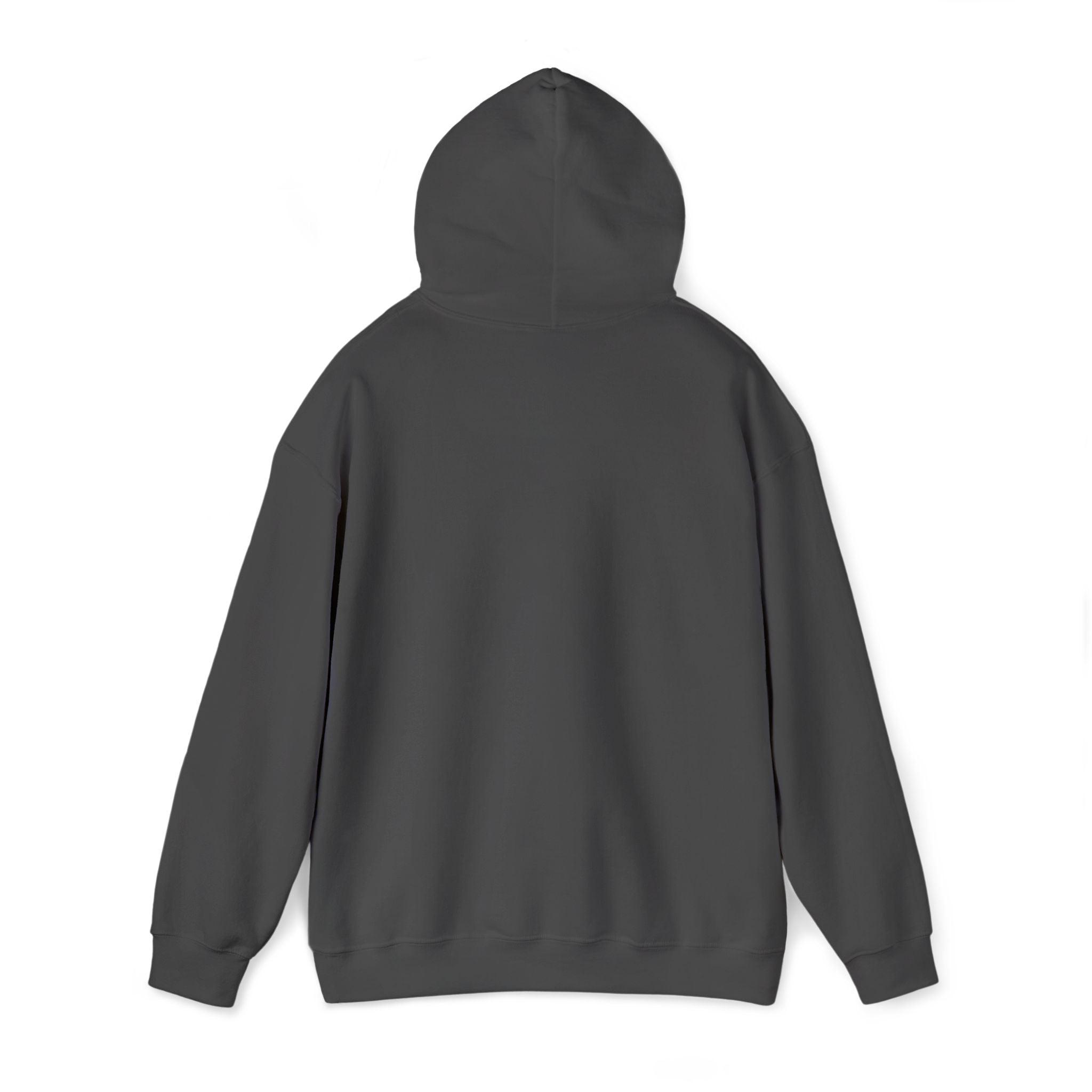 Dark gray hoodie on a white background