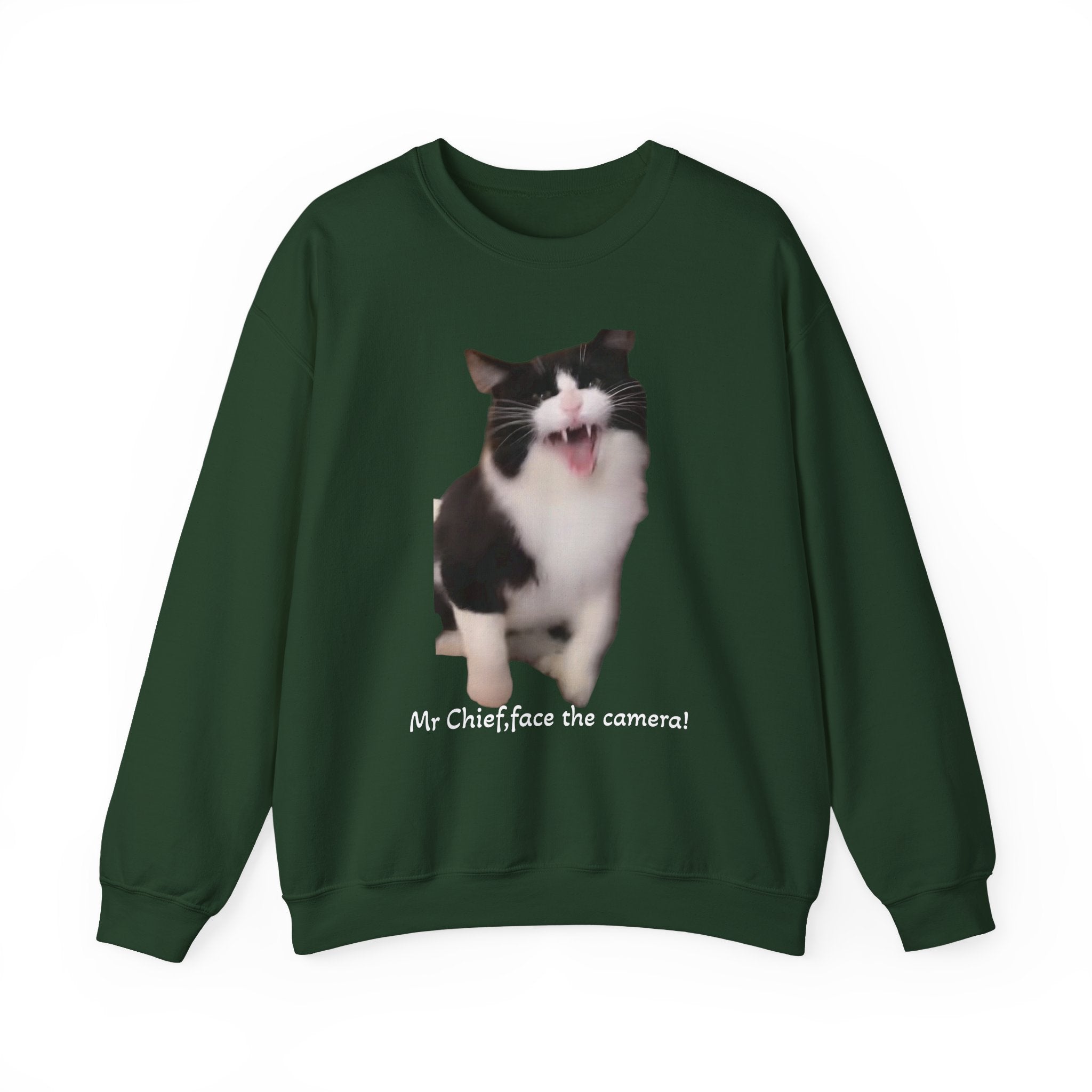 Green sweatshirt with a cat graphic and text on a white background