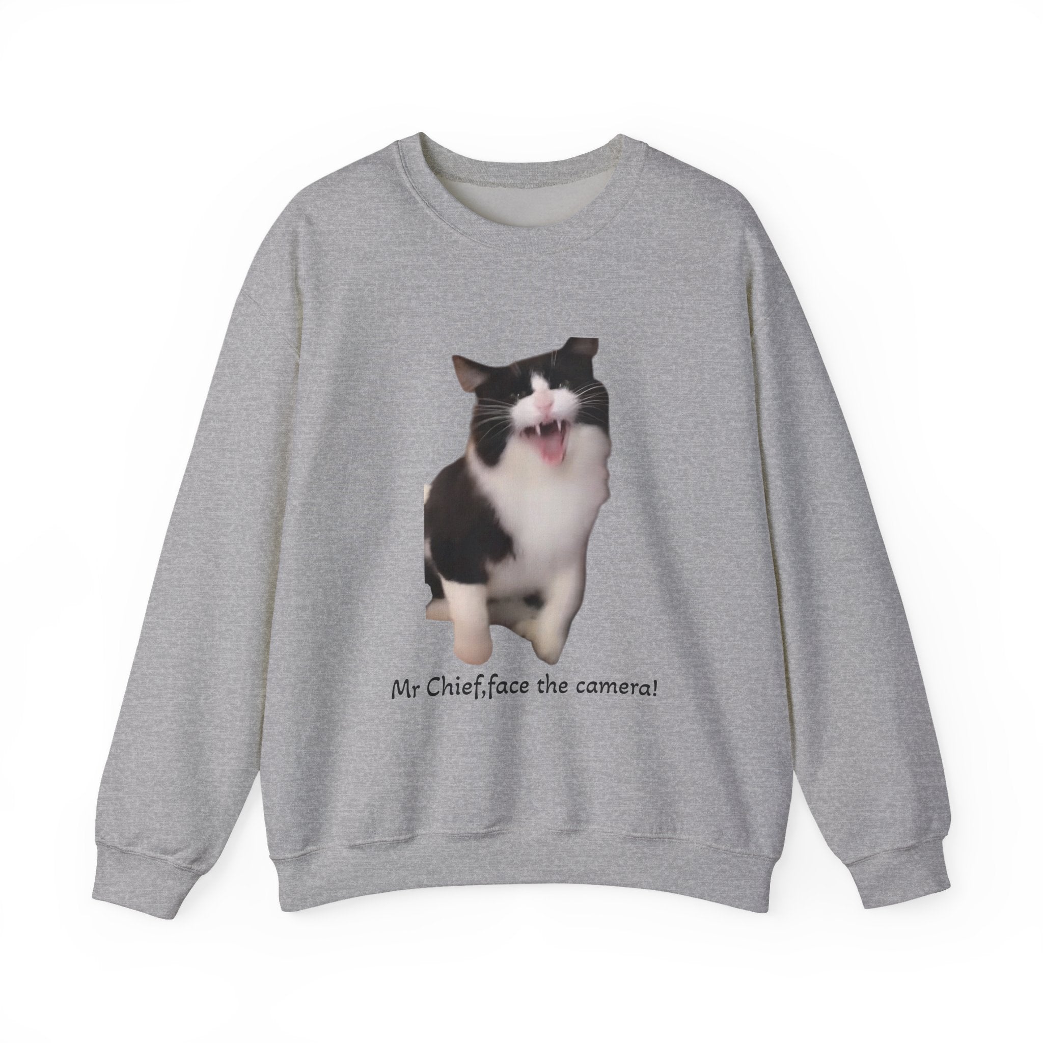 Gray sweatshirt with a cat graphic and text on a white background