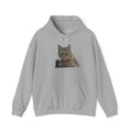 Gray hoodie with a cat graphic on a white background