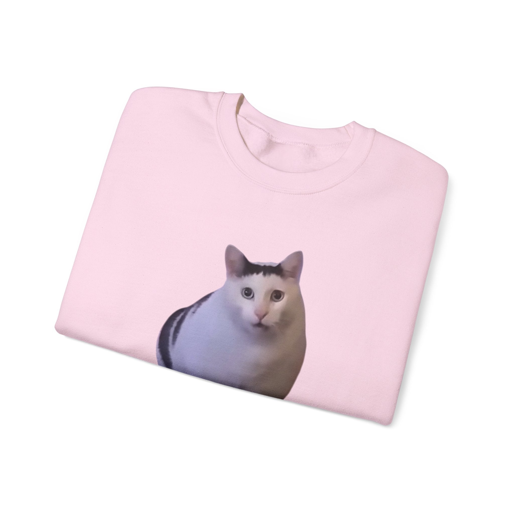 Folded pink sweatshirt with a cat print on a white background