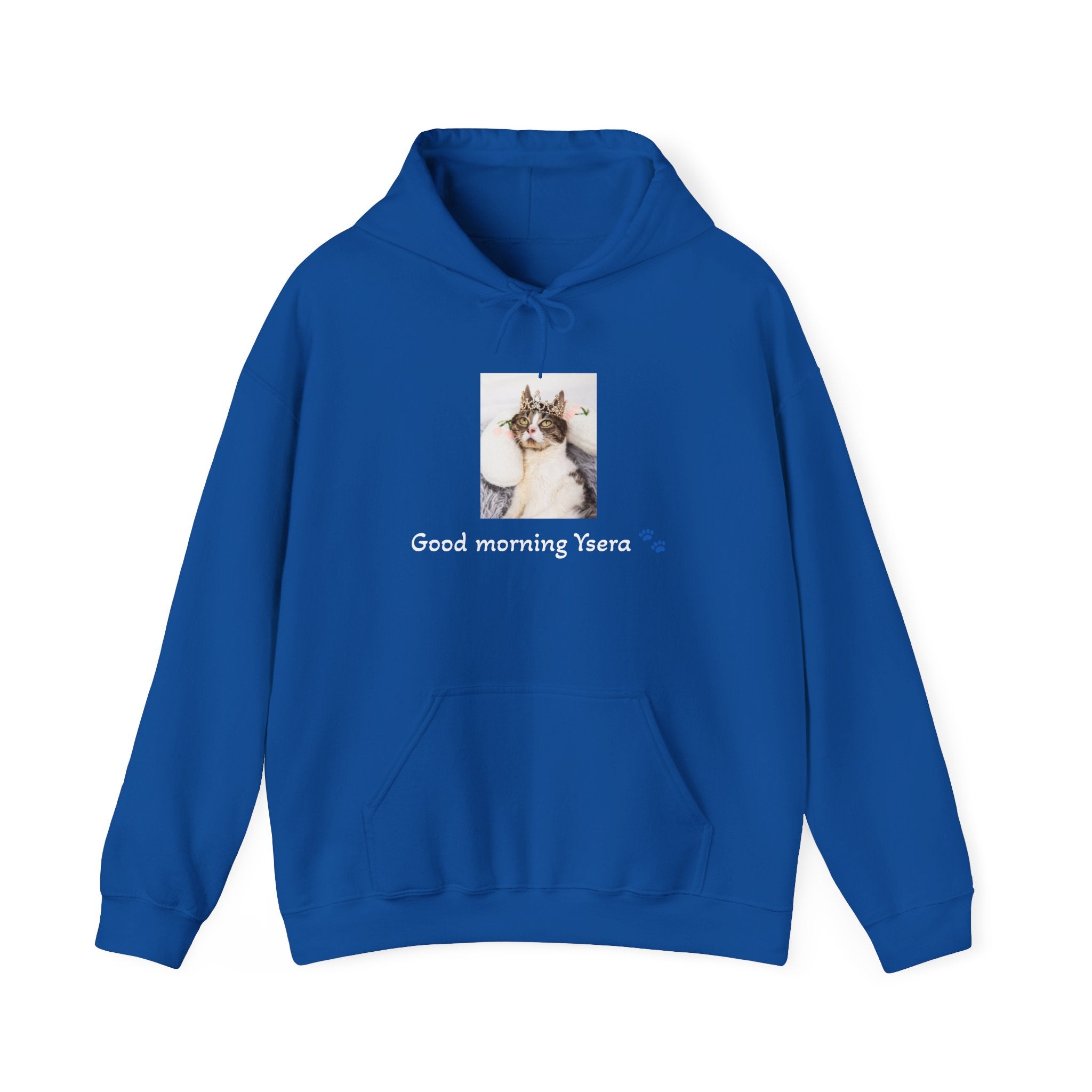 Blue hoodie with a cat graphic and text on a white background