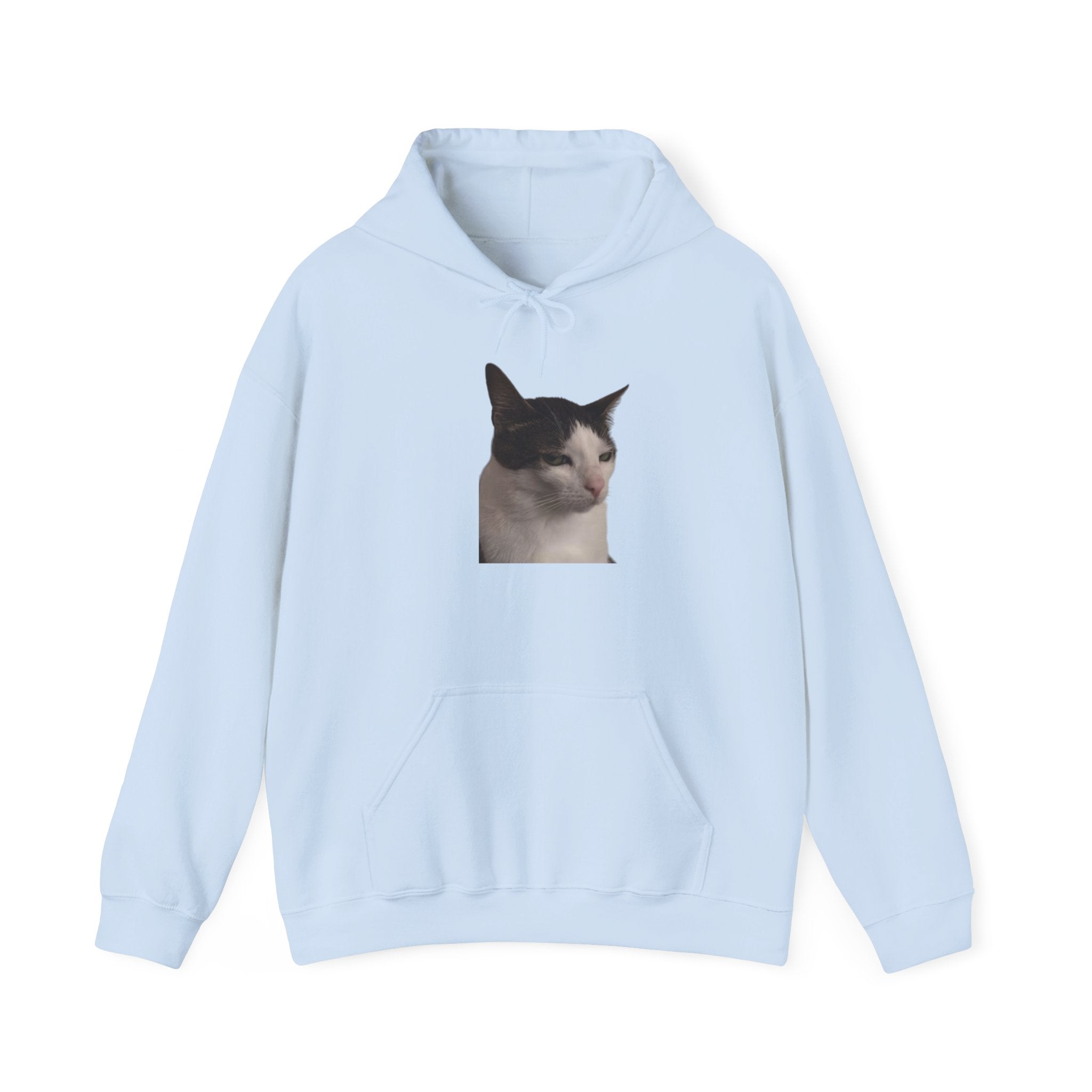 Light blue hoodie with a cat face printed on the chest pocket against a white background