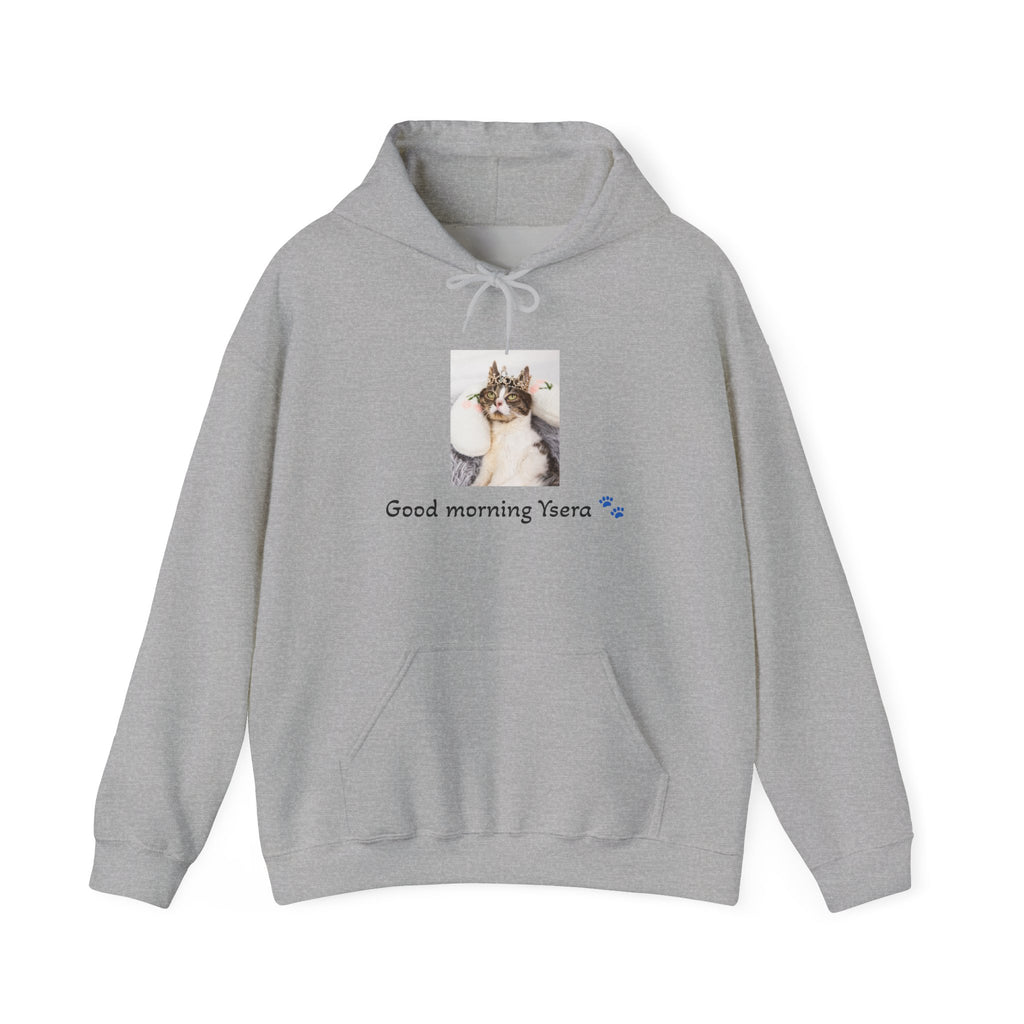 Gray hoodie with a cat graphic and text on a white background