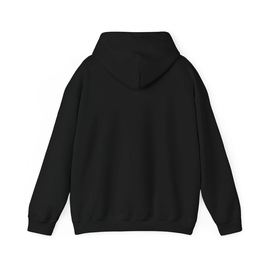 Black hoodie shown from the back on a white background