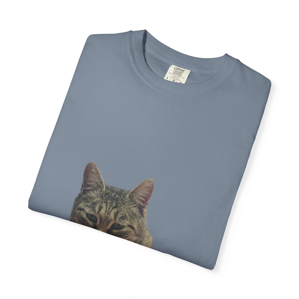 Folded blue t-shirt with a cat's face printed on it against a white background
