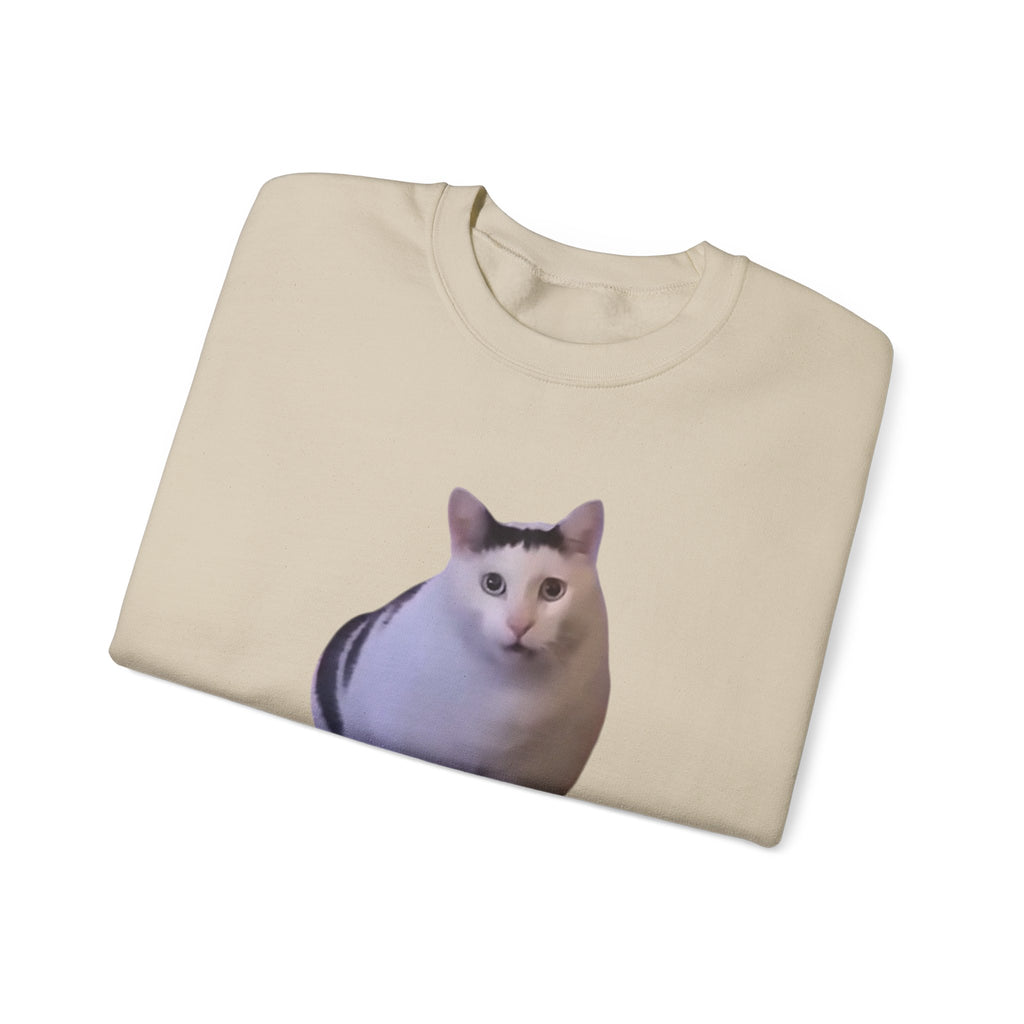 Beige sweatshirt with a cat print on a white background