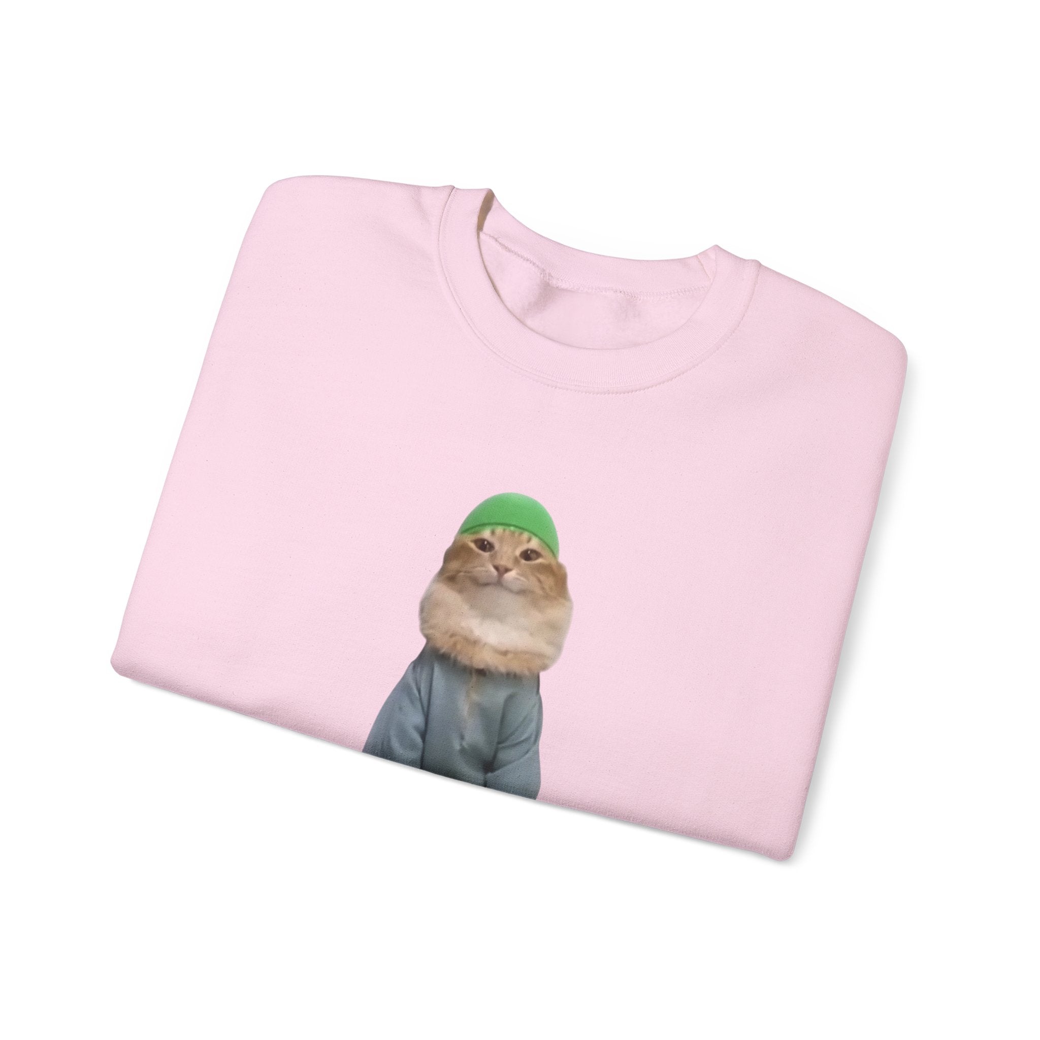 Folded pink sweatshirt with a cat graphic wearing a green beanie on a white background