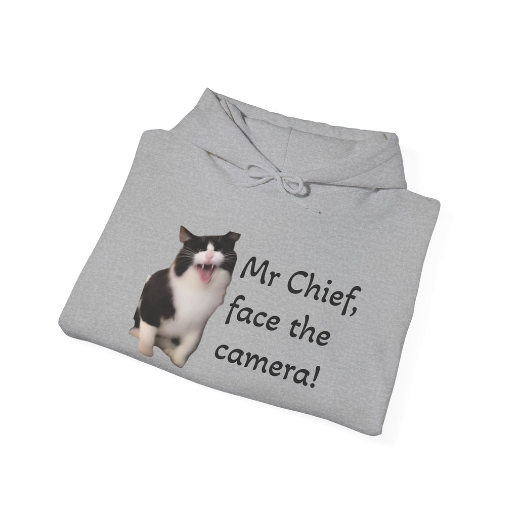 Folded gray hoodie with a cat graphic and text on a white background