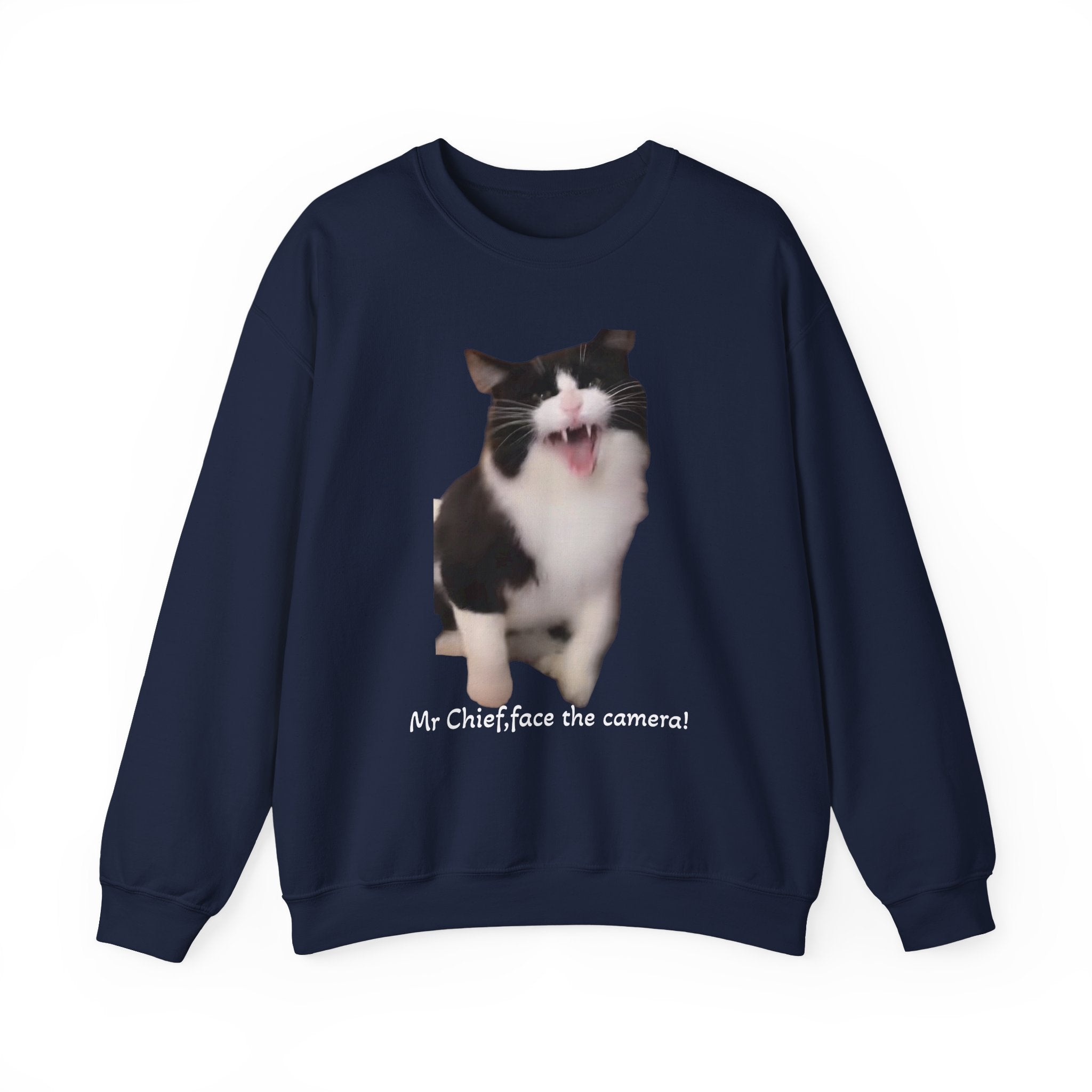Navy blue sweatshirt with a cat graphic and text on a white background