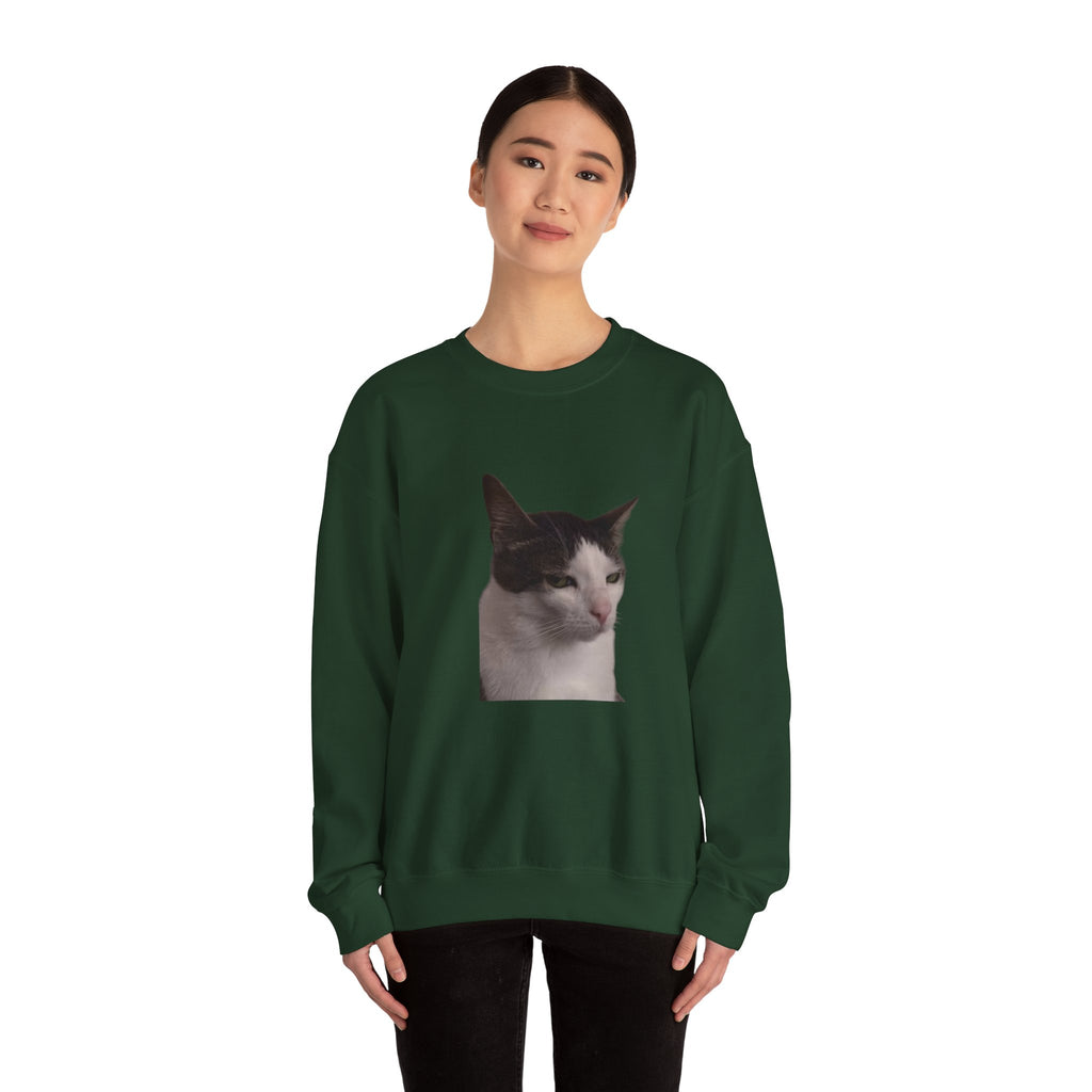 Person wearing a green sweatshirt with a cat print on a white background