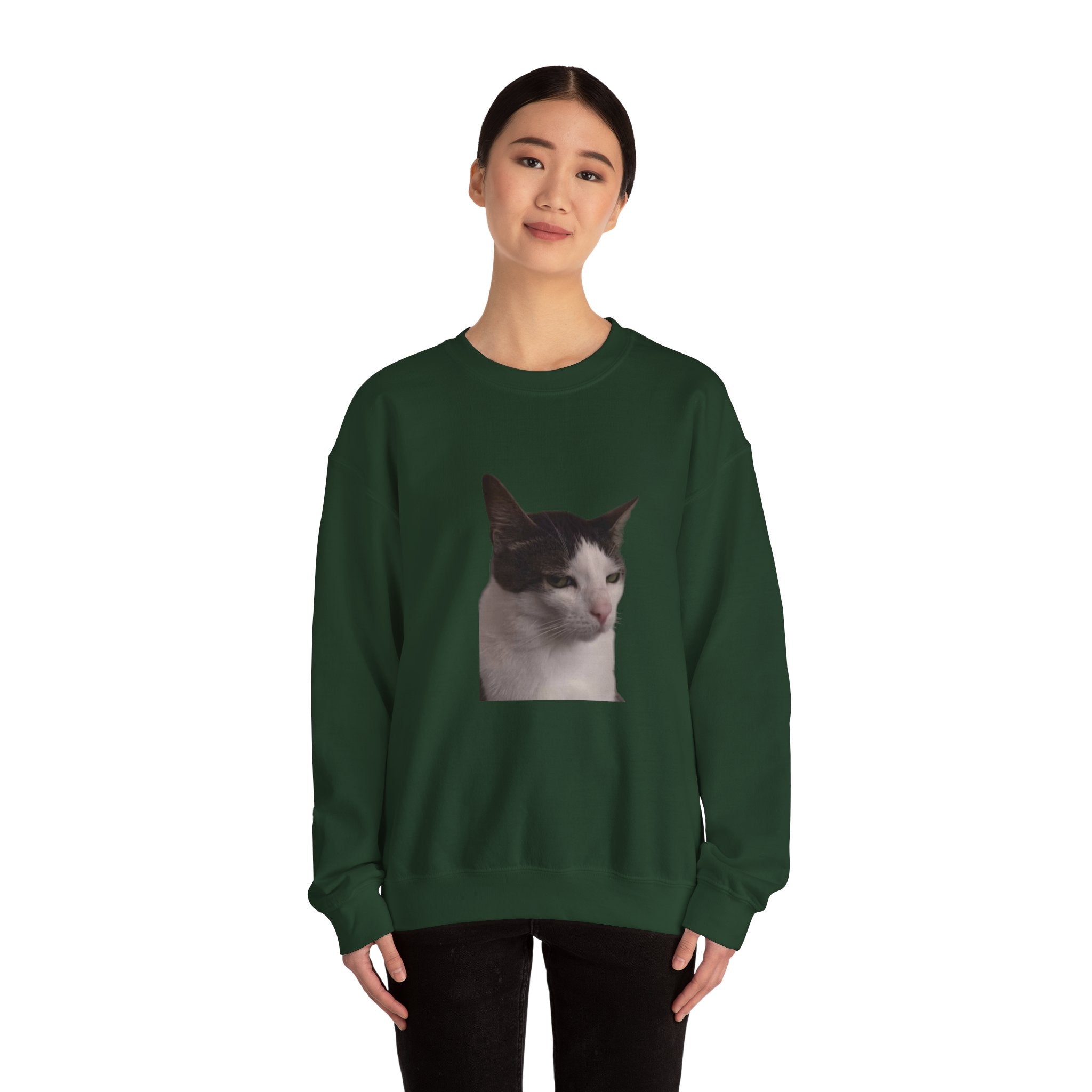 Person wearing a green sweatshirt with a cat print on a white background