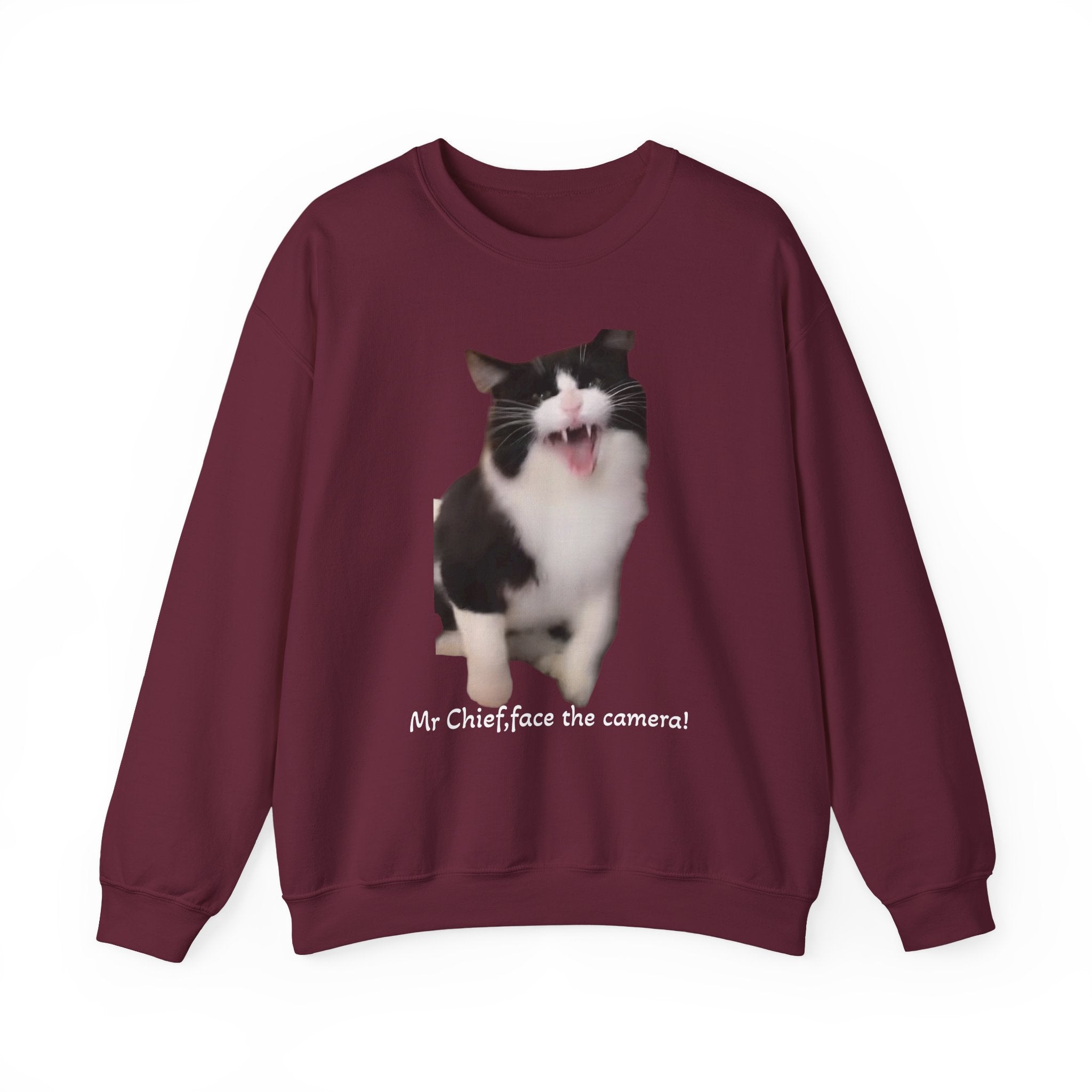 Maroon sweatshirt with a cat graphic and text on a white background