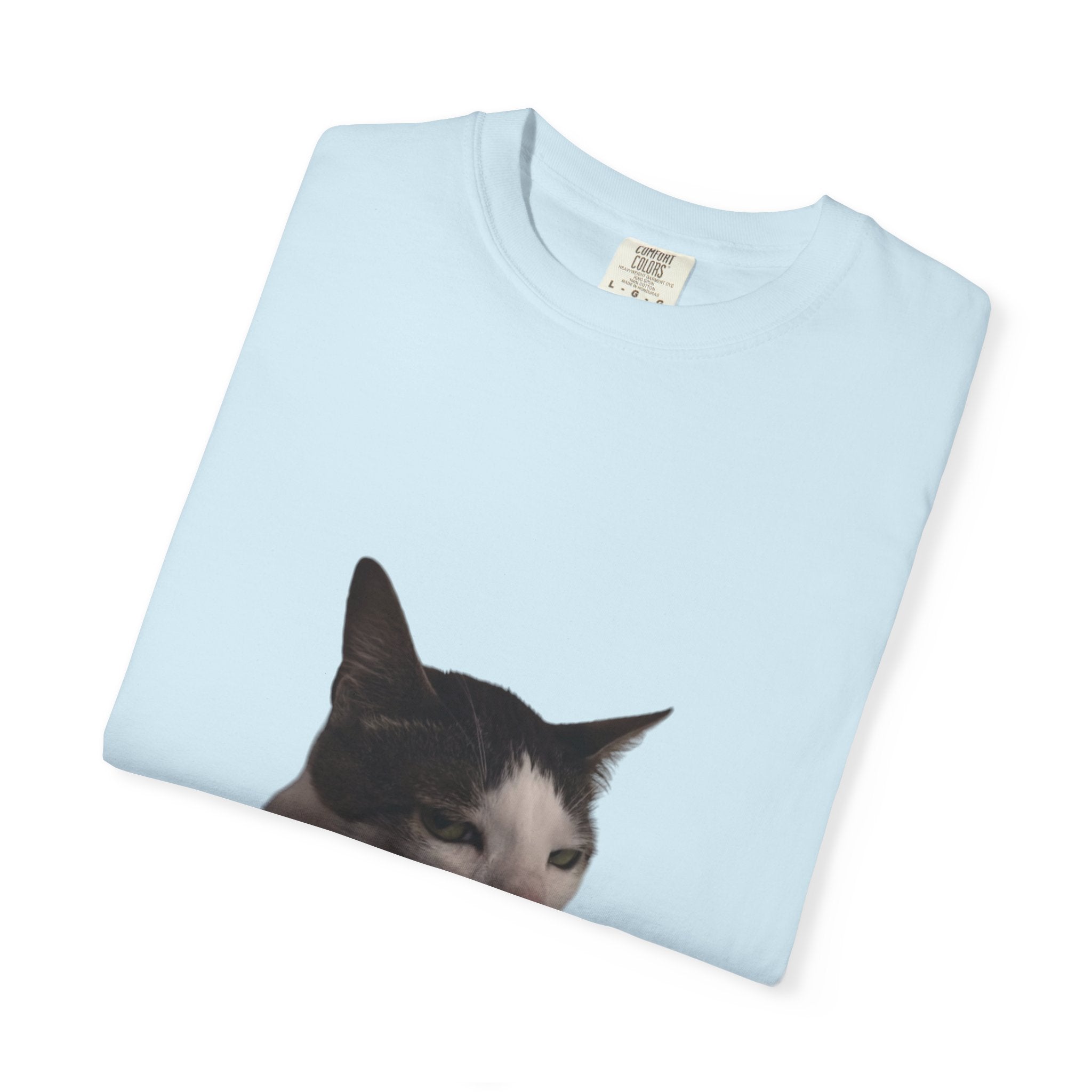 Light blue t-shirt with a cat print on a white background