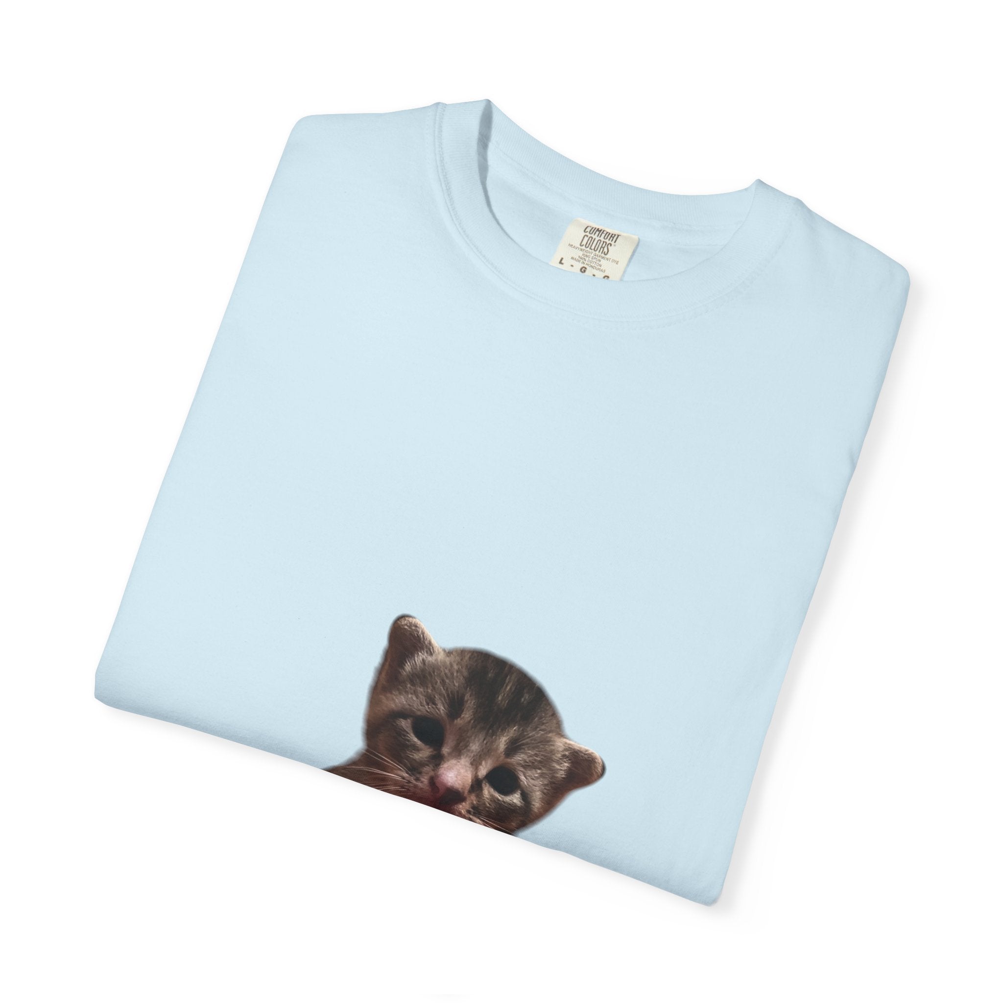 Light blue t-shirt with a cat print on a white background