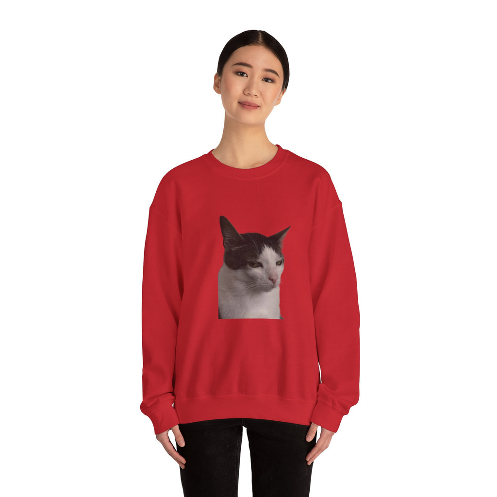 Person wearing a red sweatshirt with a cat graphic on a white background