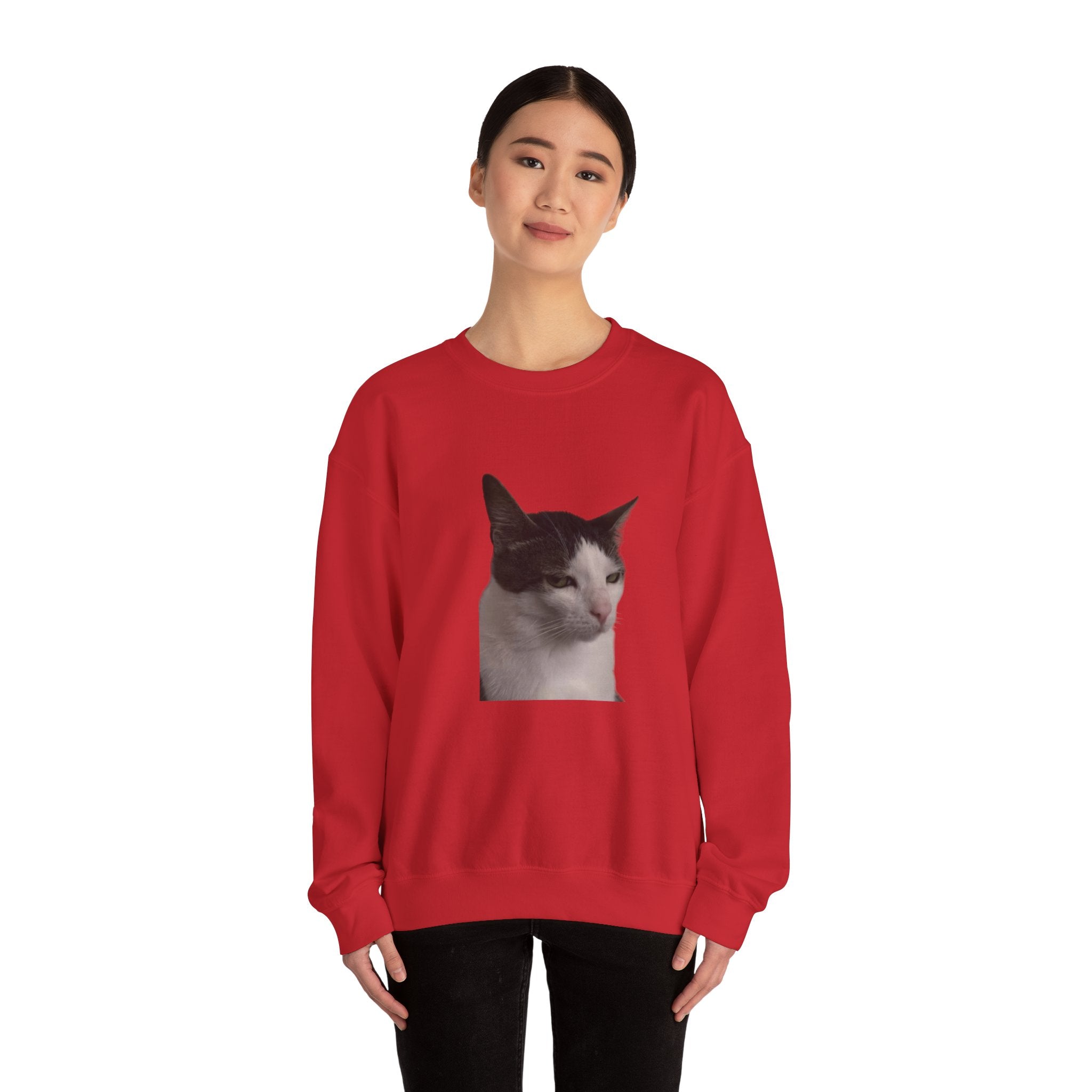 Person wearing a red sweatshirt with a cat graphic on a white background