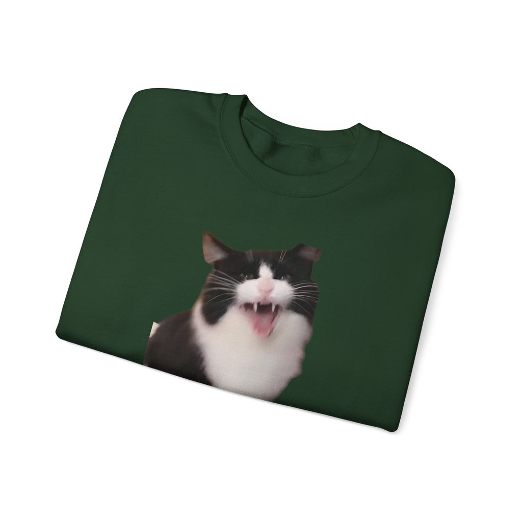 Folded green sweatshirt with a cat's face printed on it against a white background