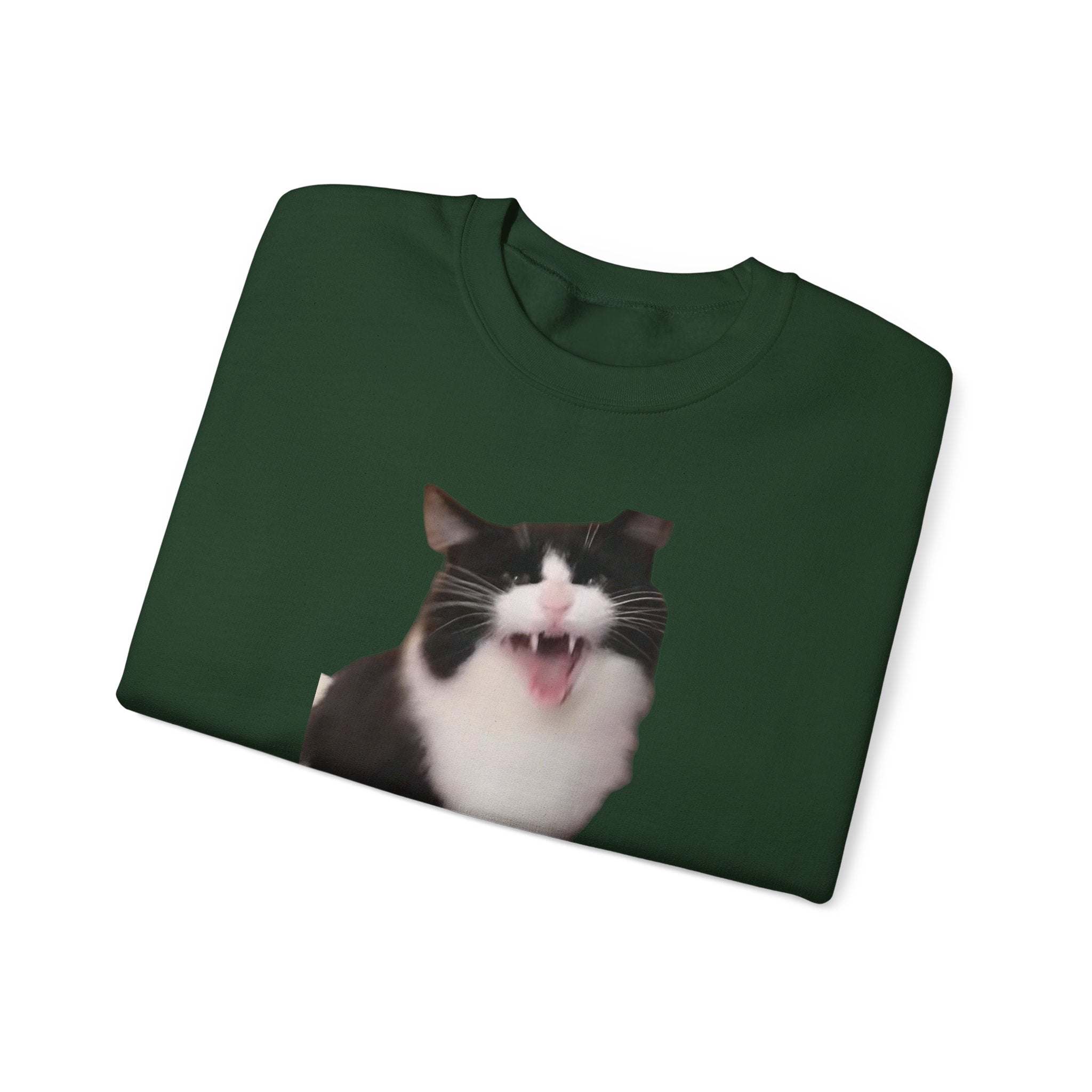 Folded green sweatshirt with a cat's face printed on it against a white background