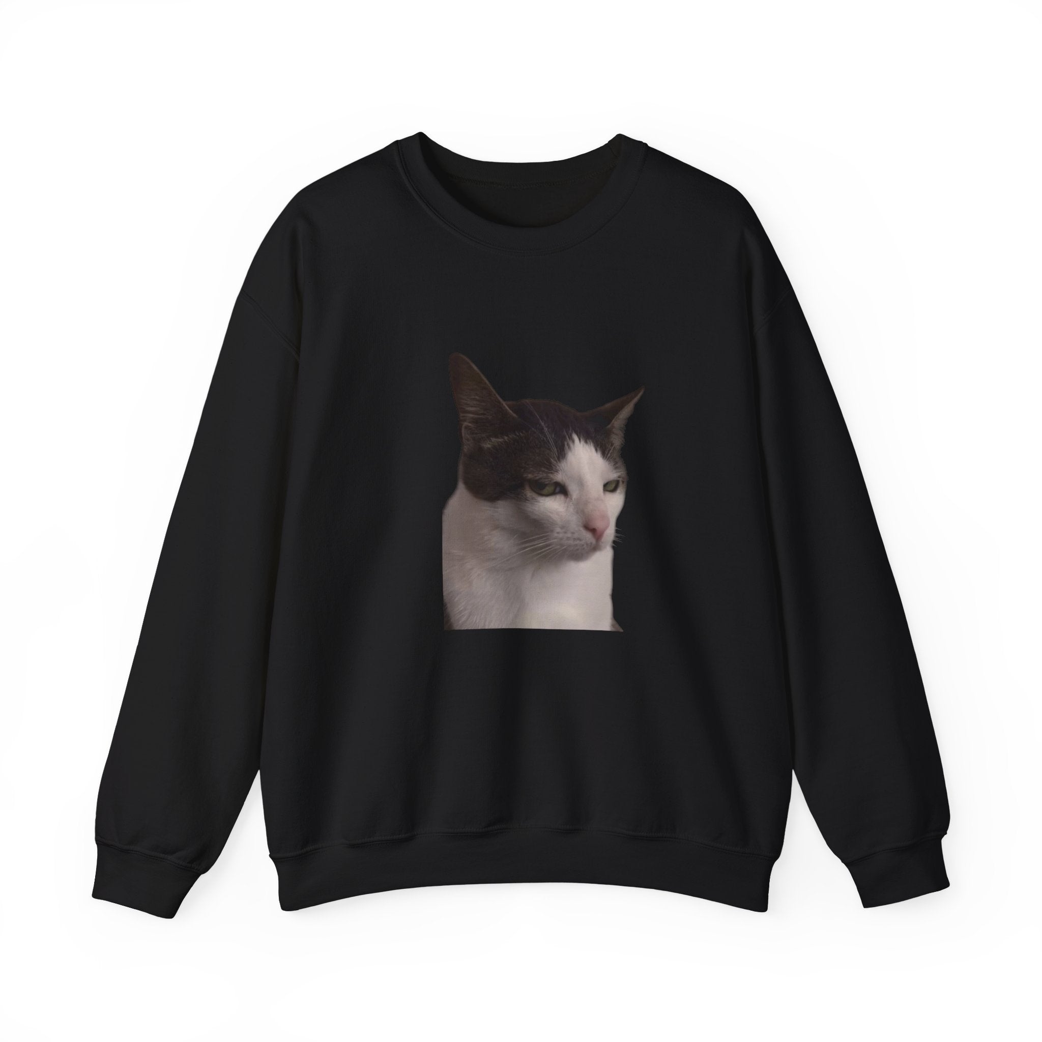 Black sweatshirt with a cat's face printed on the chest against a white background