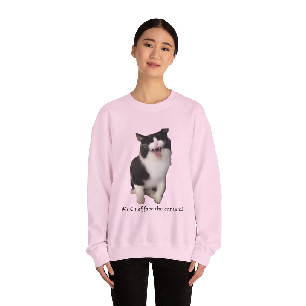 Person wearing a pink sweatshirt with a cat graphic and text on a white background