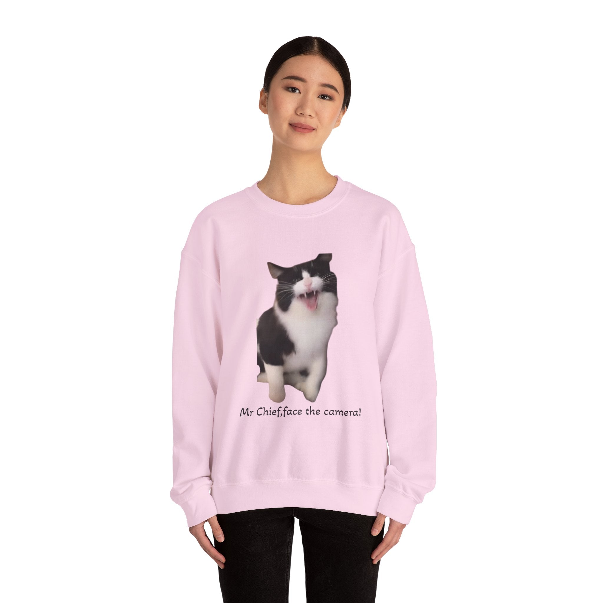 Person wearing a pink sweatshirt with a cat graphic and text on a white background