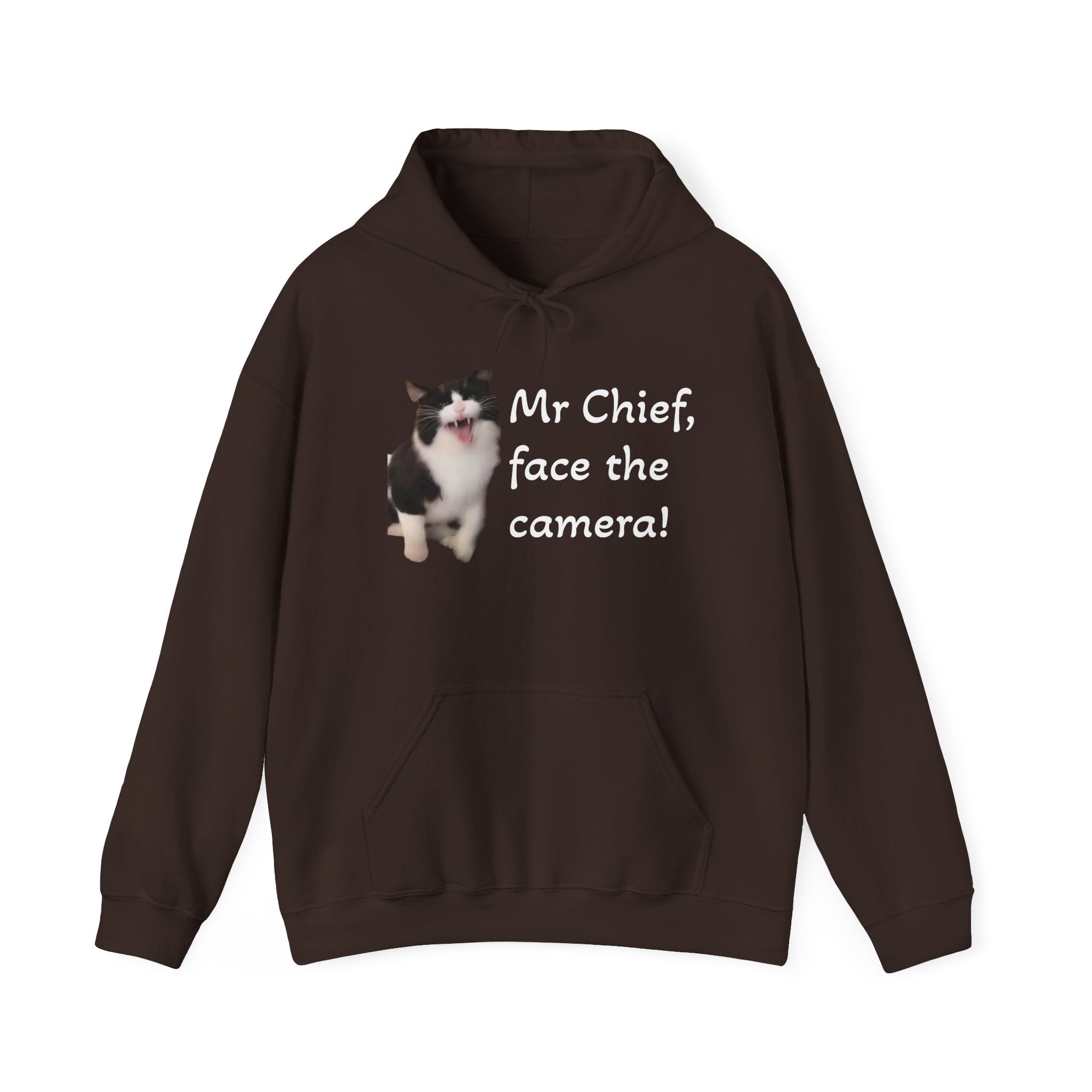 Brown hoodie with a cat graphic and text on a white background