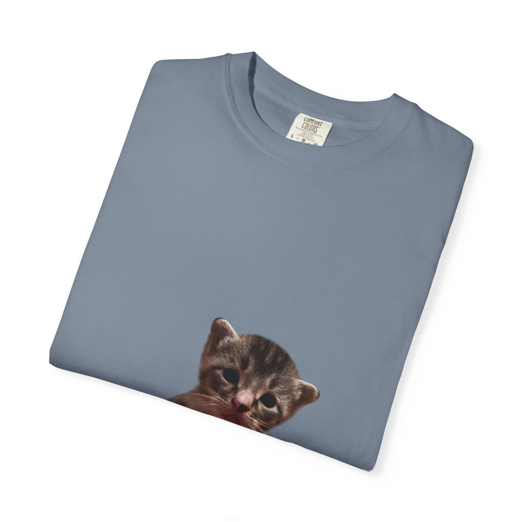 Folded blue t-shirt with a kitten print on a white background