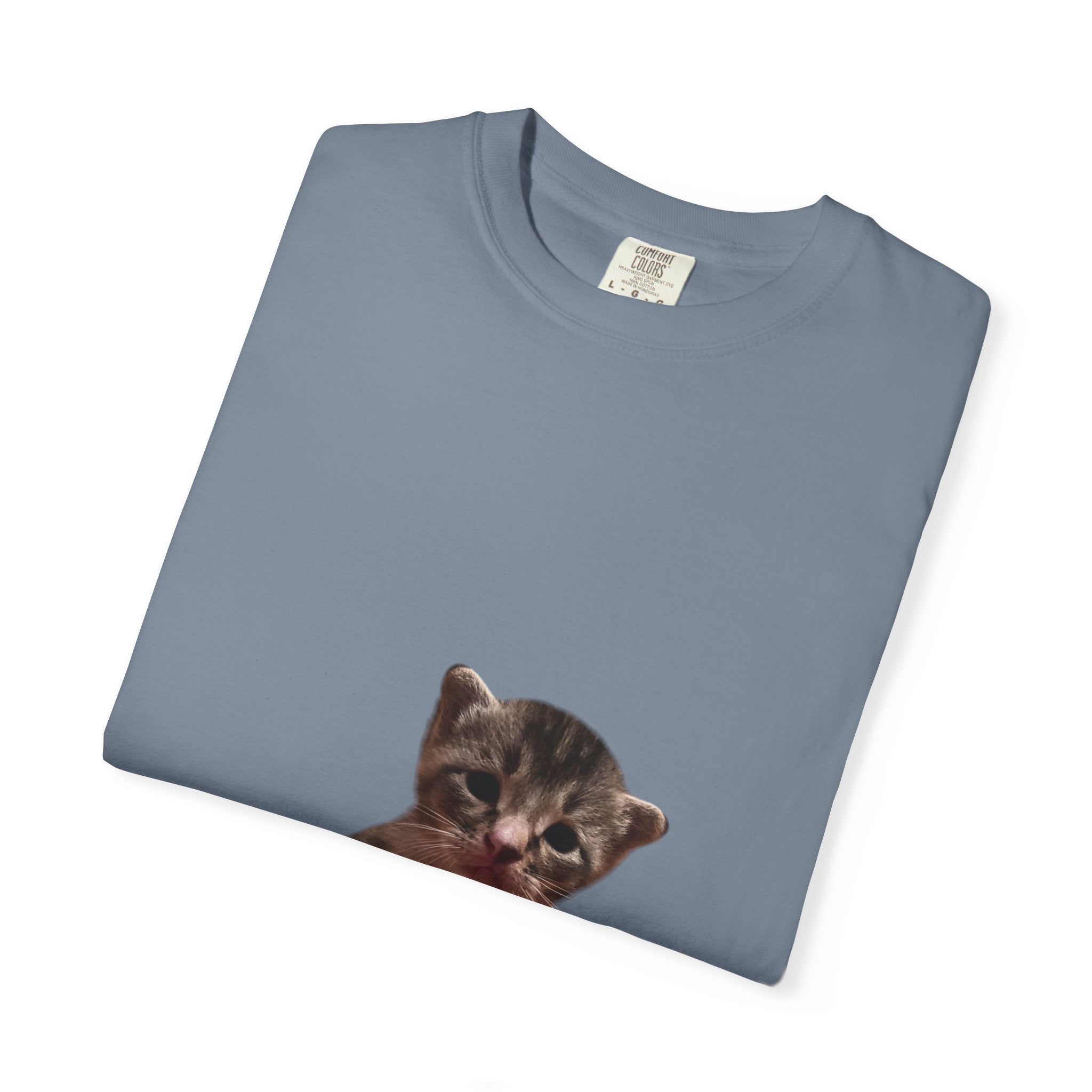Folded blue t-shirt with a kitten print on a white background