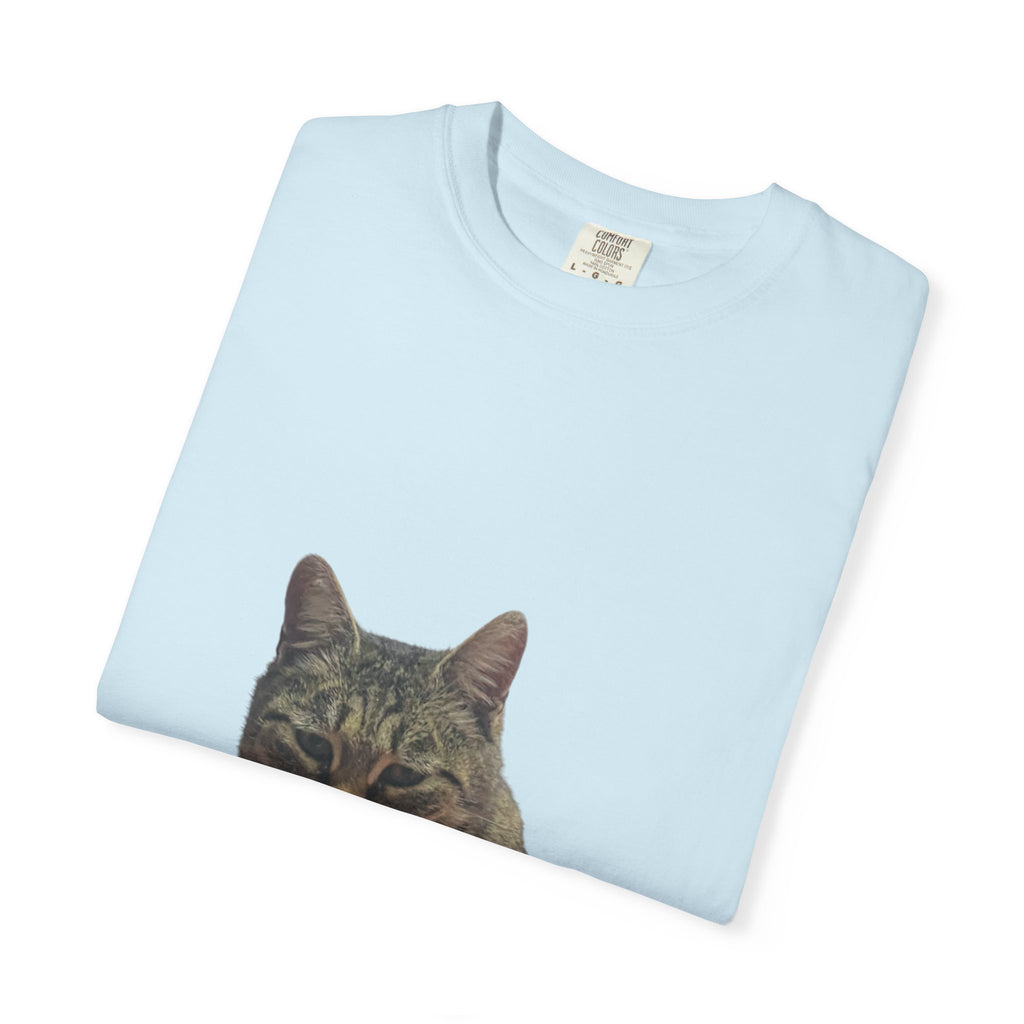 Light blue sweatshirt with a cat face print on a white background