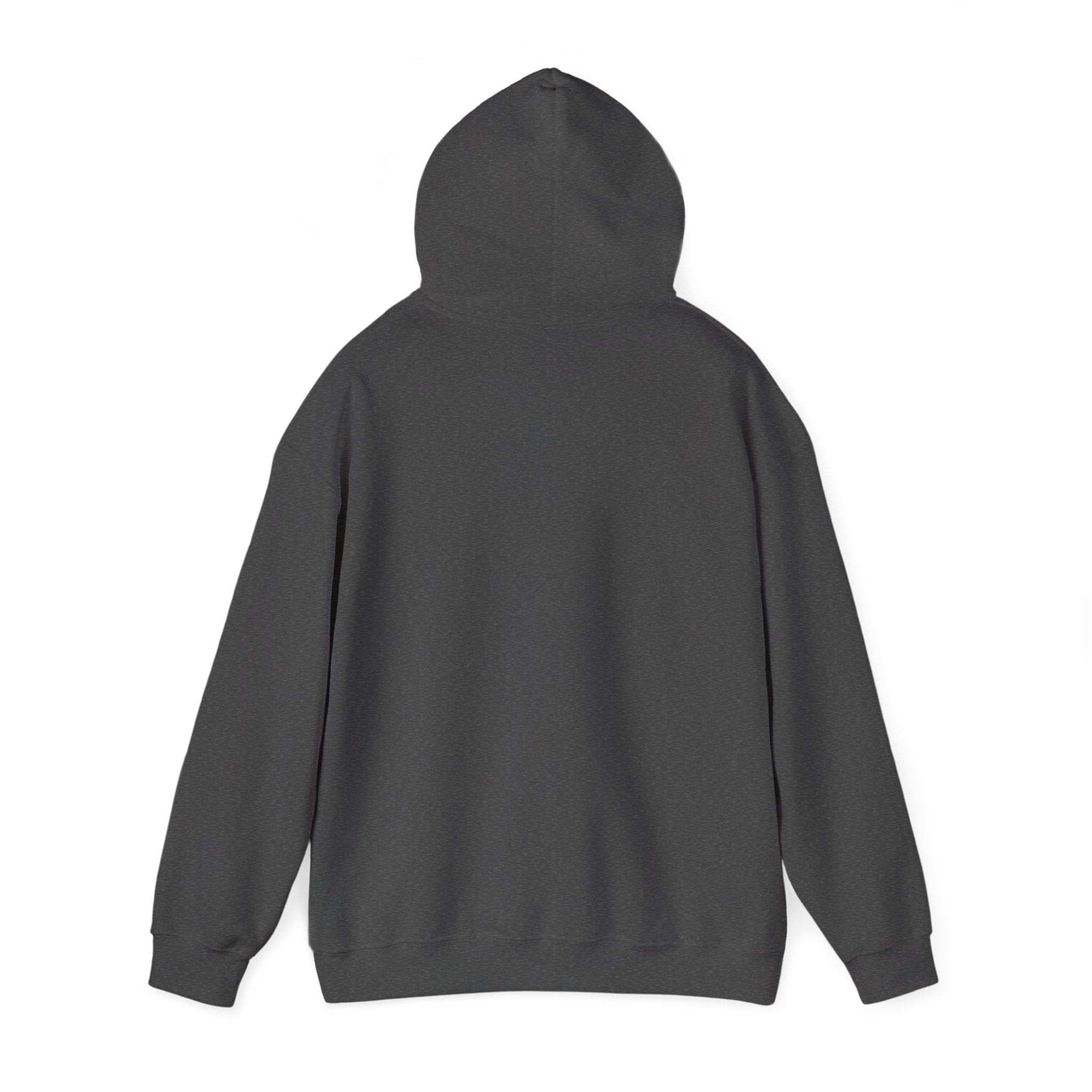 Dark gray hoodie on a white background