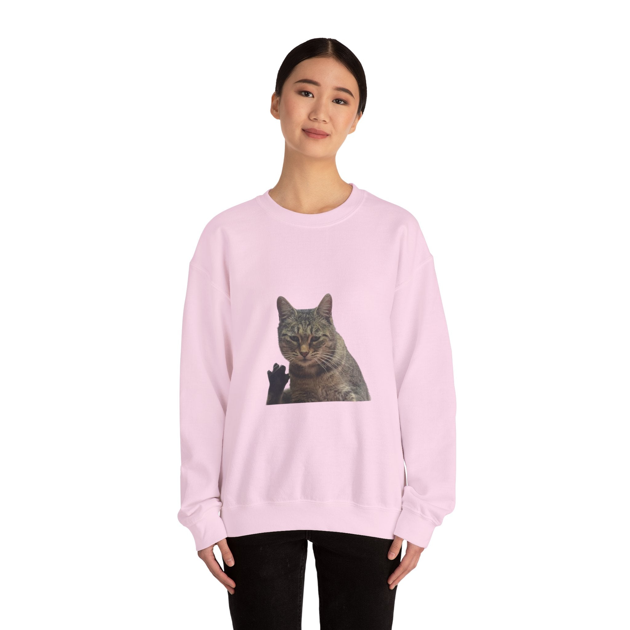 Person wearing a pink sweatshirt with a cat graphic on a white background