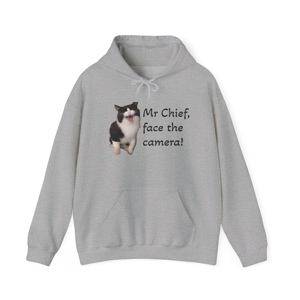 Gray hoodie with a cat graphic and text on a white background