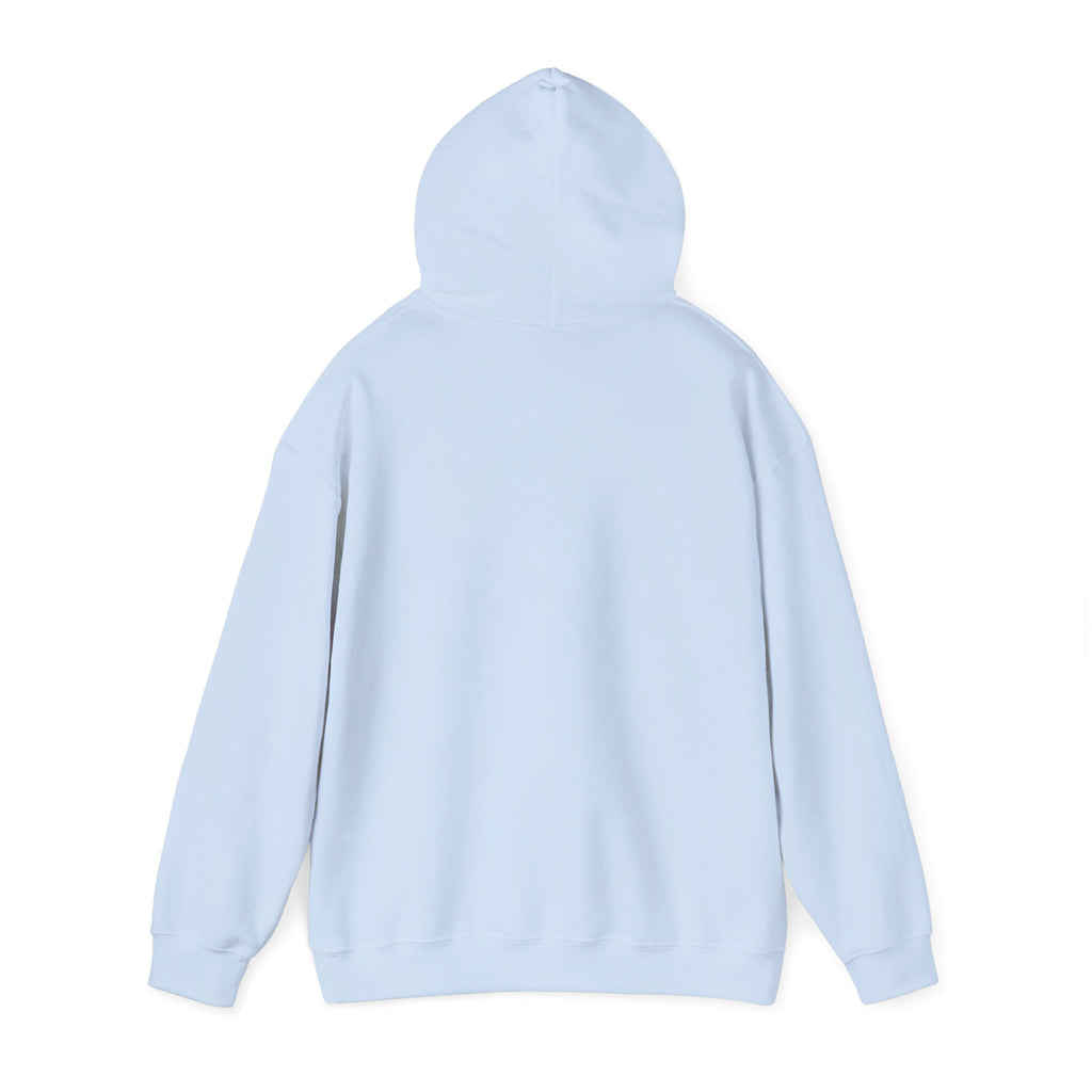 Light blue hoodie on a white background