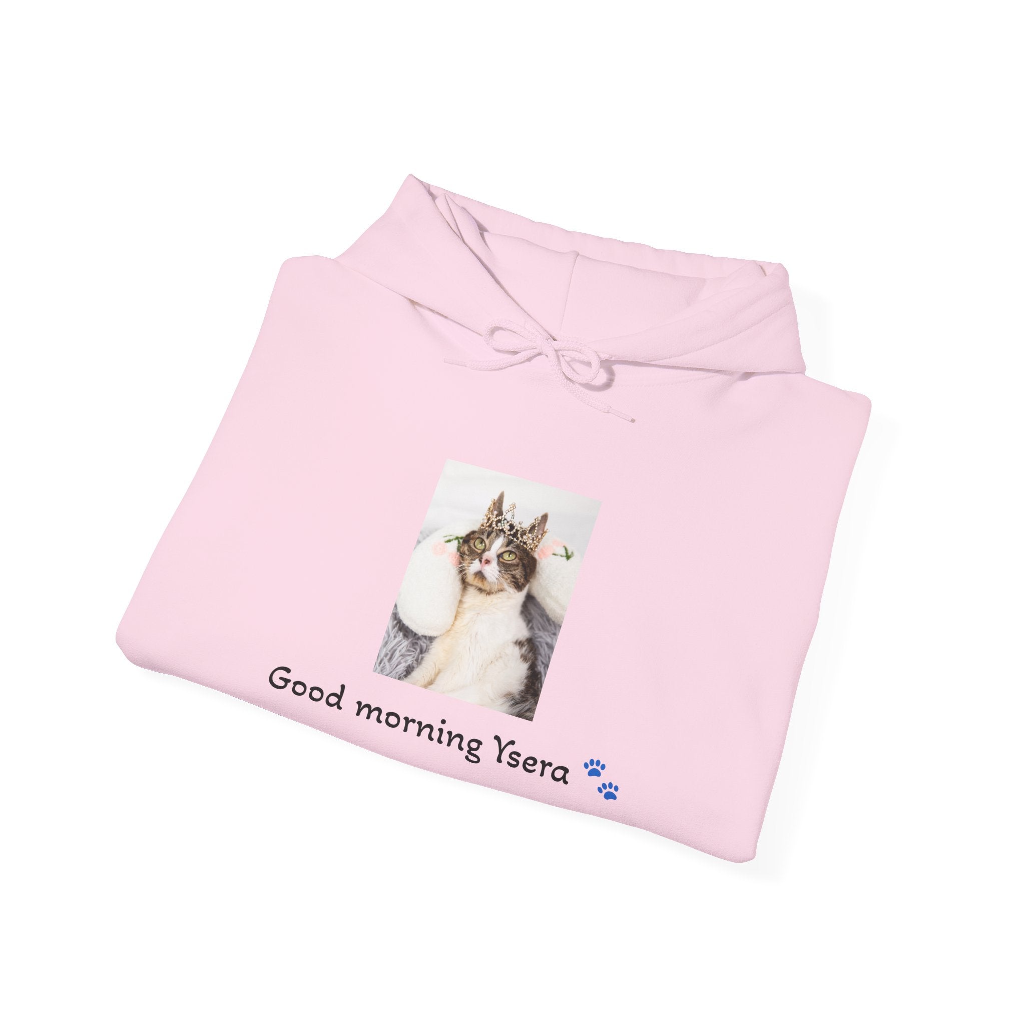 Pink hoodie with a cat graphic and text on a white background